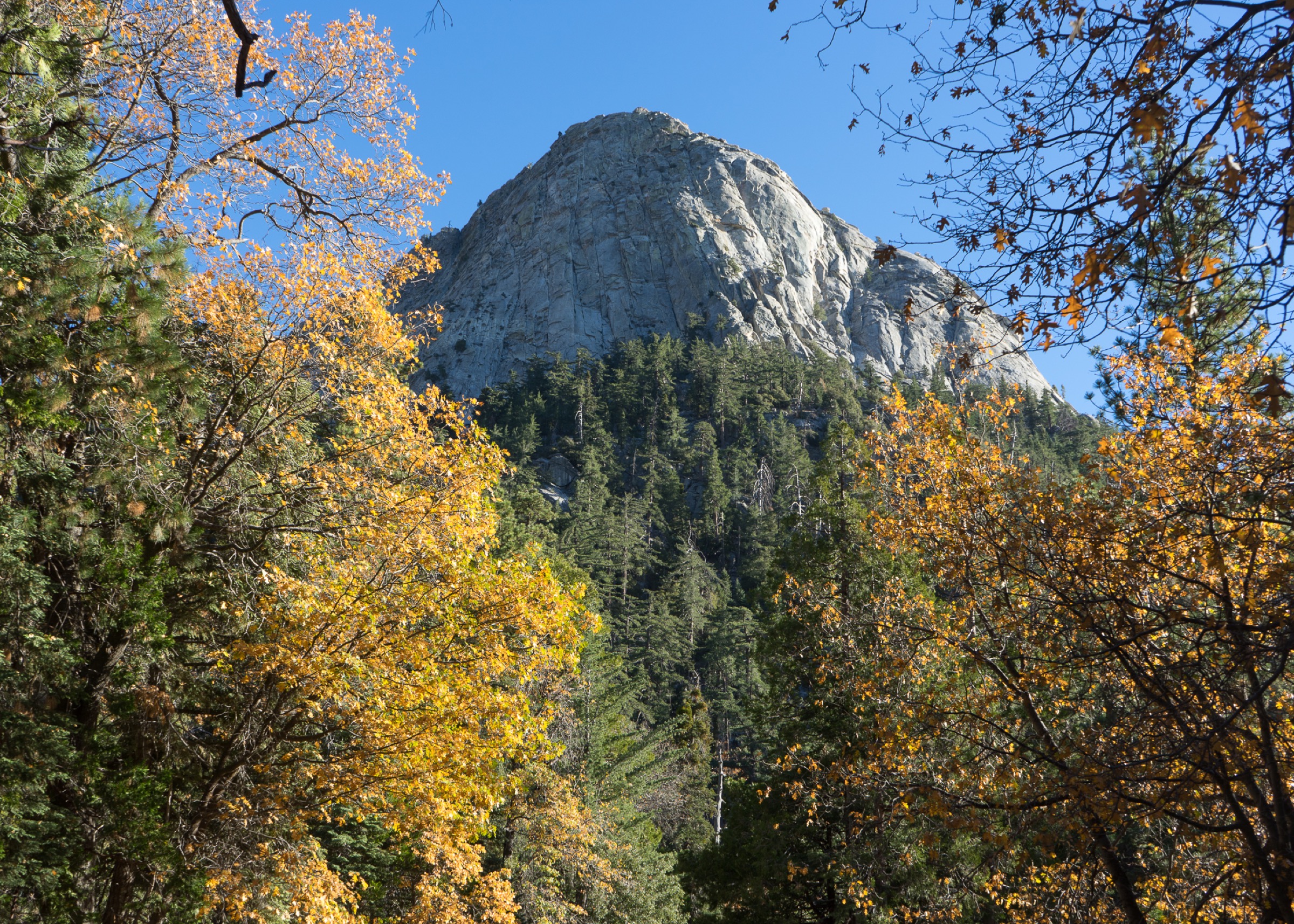 Tahquitz Peak vu depuis l'aire de stationnement de Humber Park près d'Idyllwild
