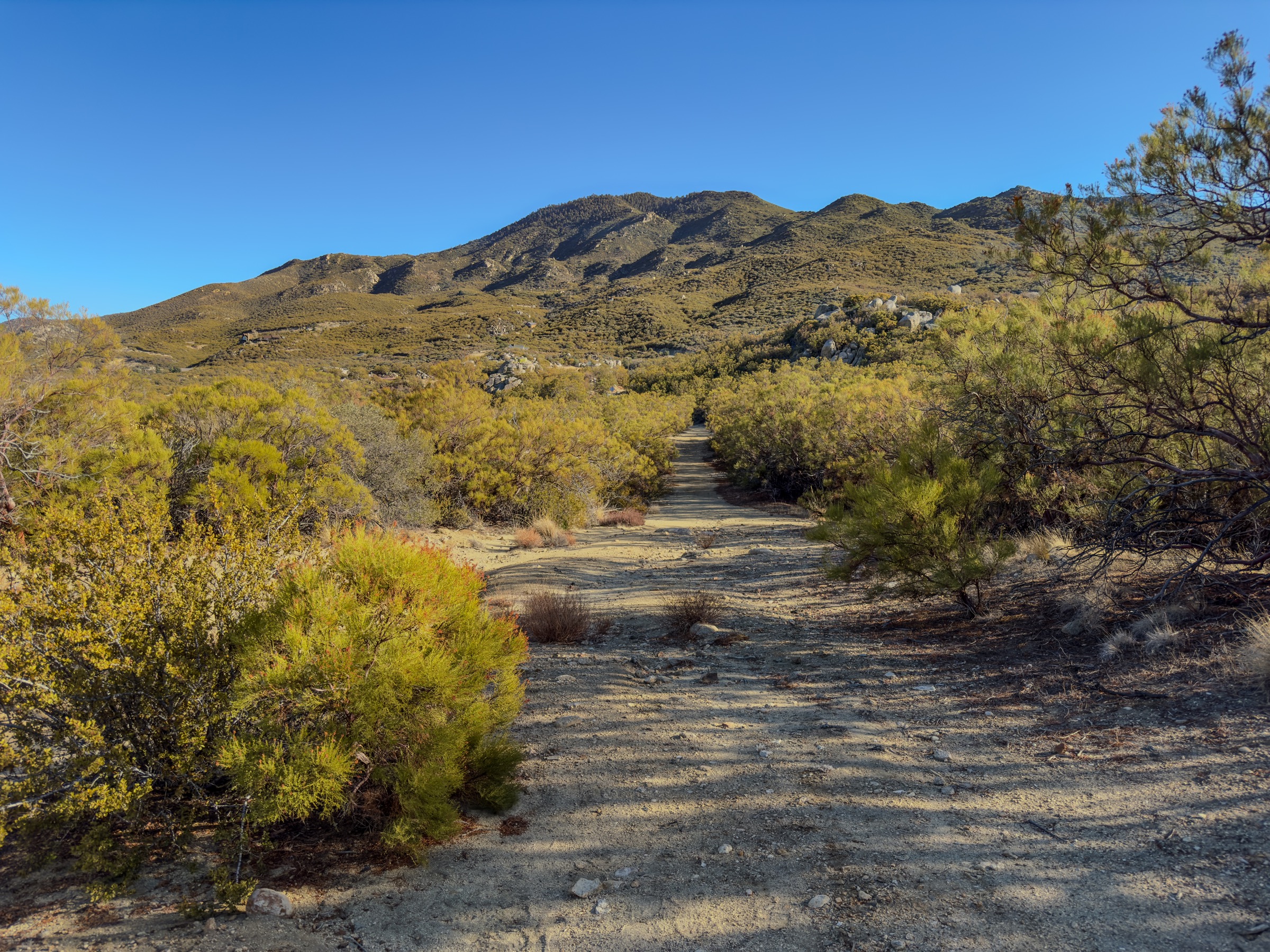 USA — Santa Rosa Mountains, California: essential day-hikes