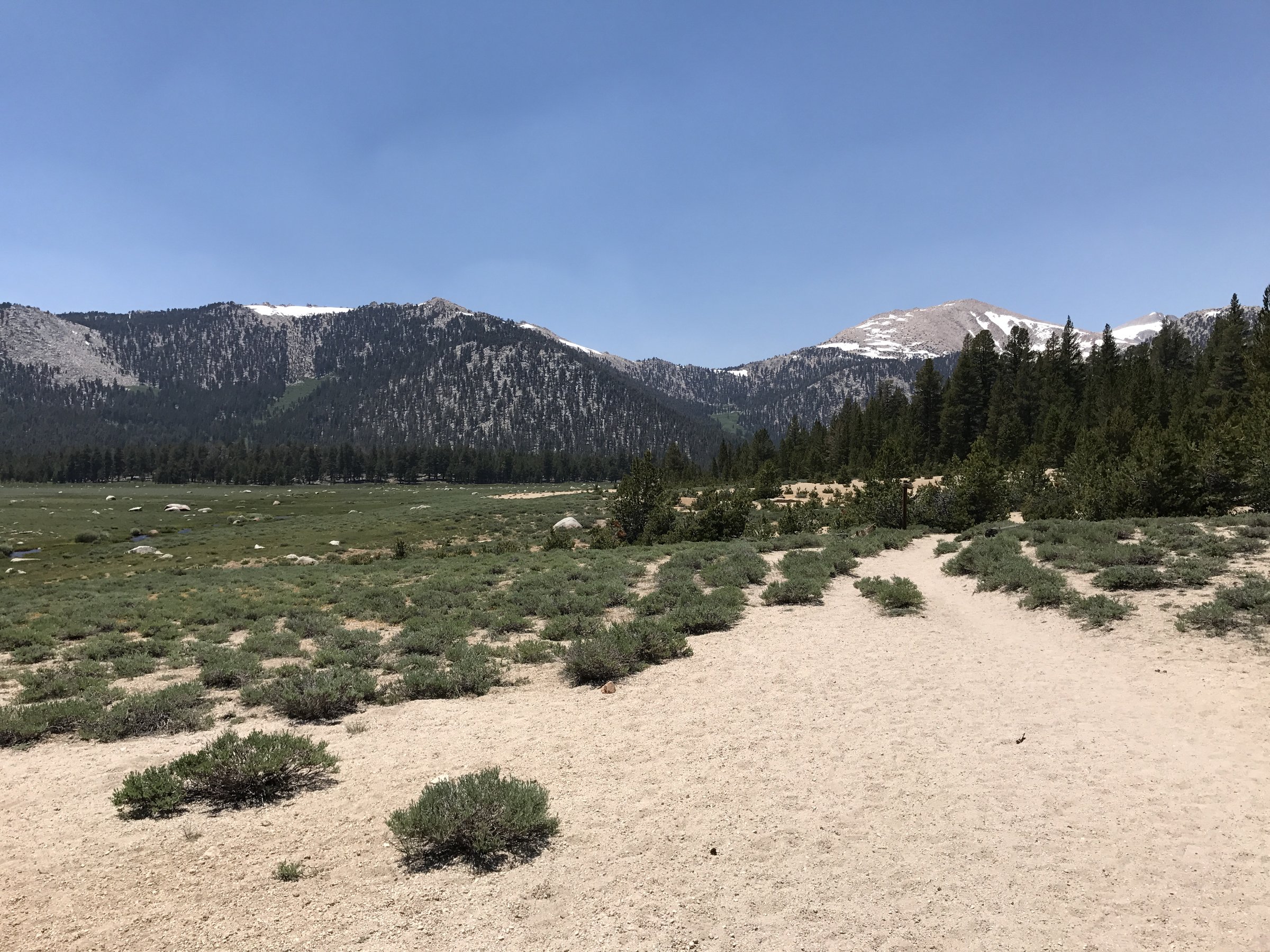 The sandy trail crossing Horseshoe Meadow towards the Sierra crest