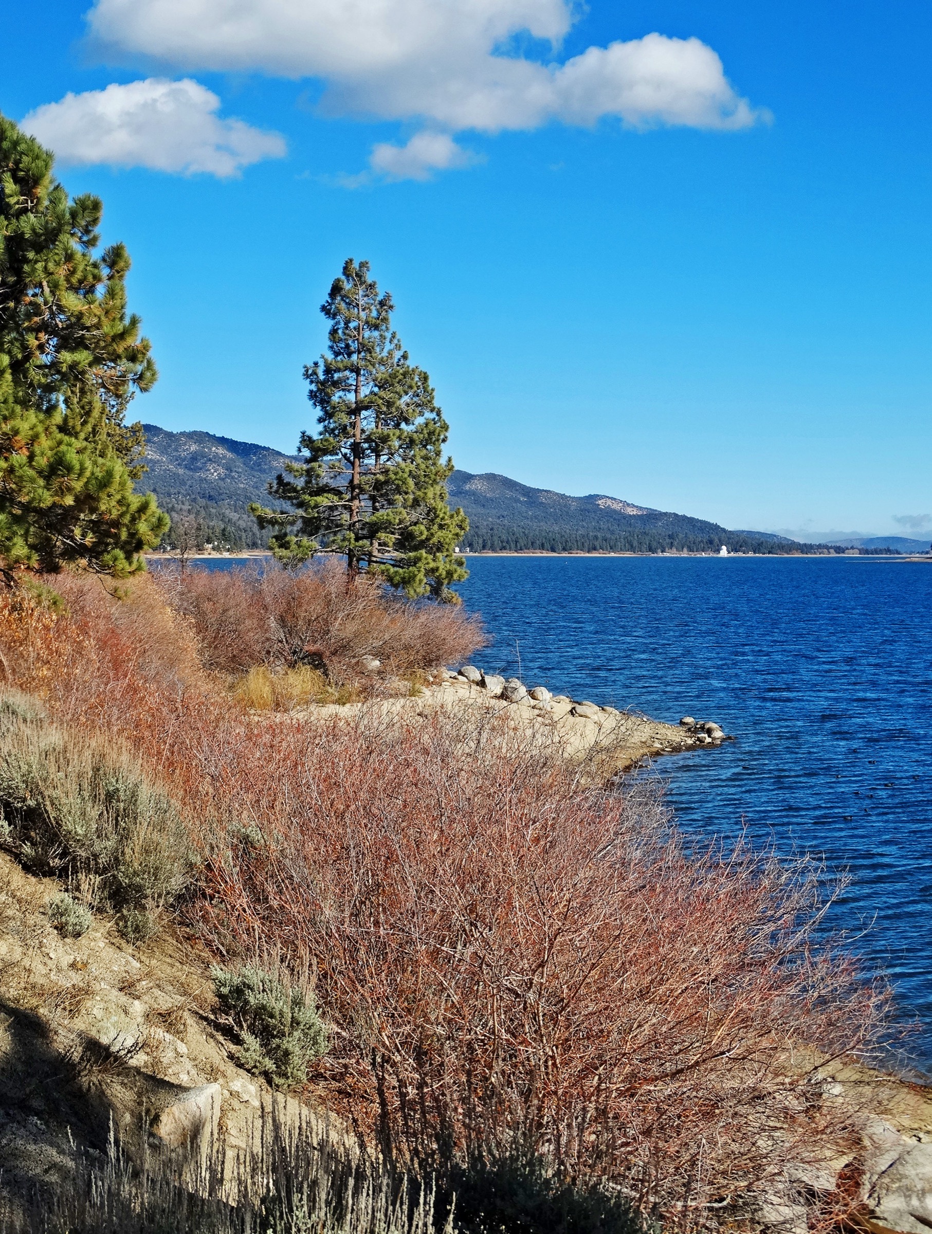 North shore of Big Bear Lake in the San Bernardino Mountains pine belt