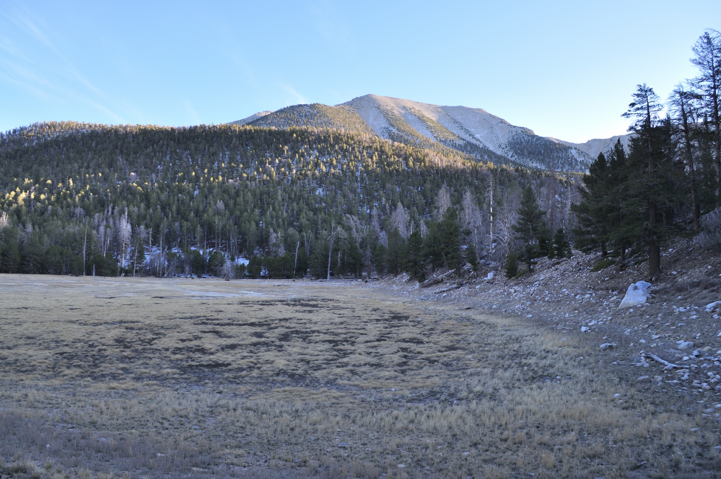 Dry Lake basin below San Gorgonio Mountain