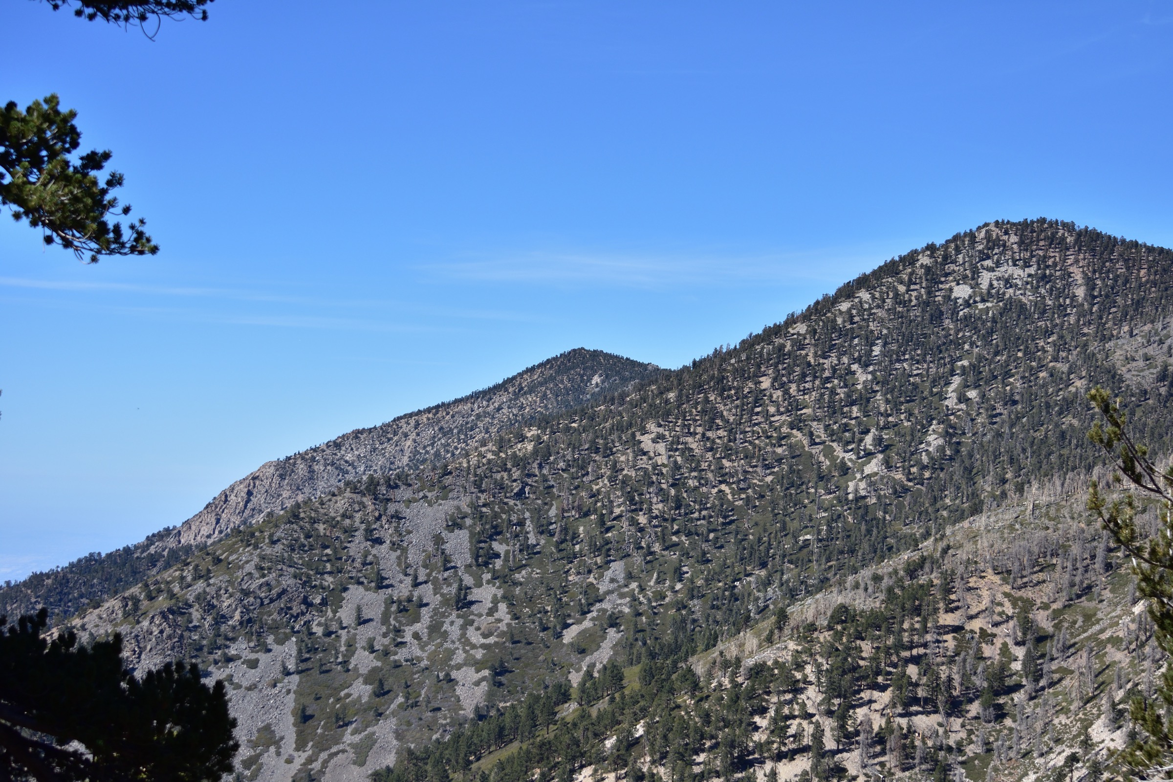 San Bernardino Peak from the Divide Trail