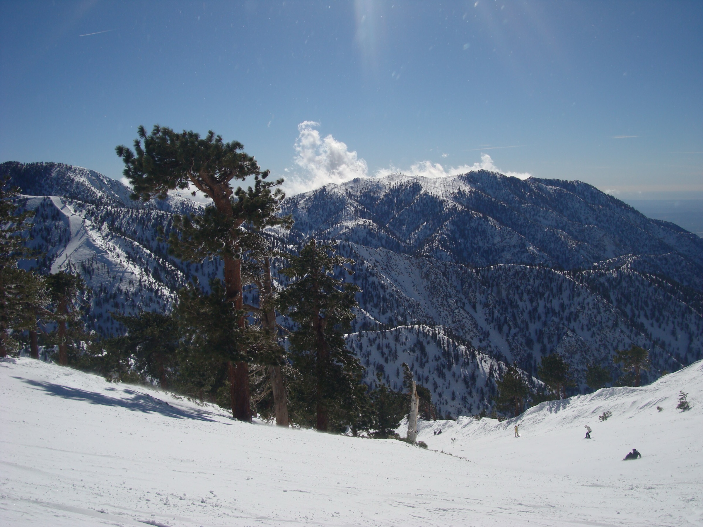 Mount Baldy / Mount San Antonio, point culminant du comté de Los Angeles