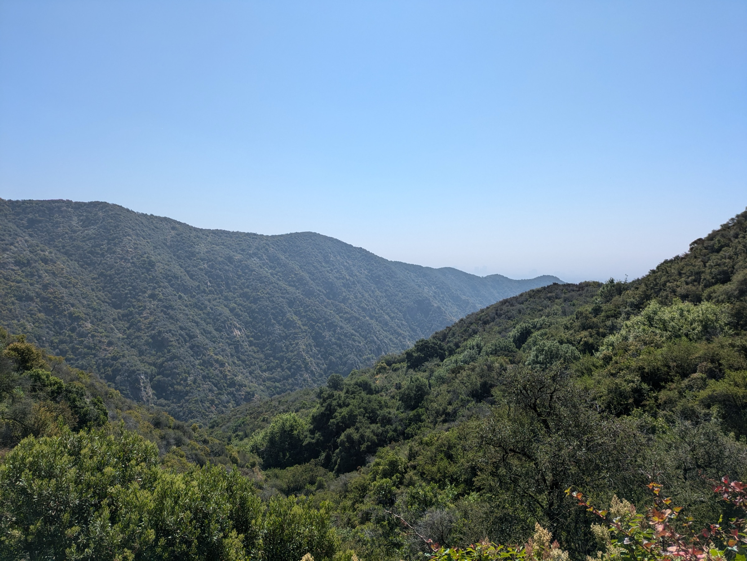 Chaparral ridge in Topanga State Park above the Pacific Palisades