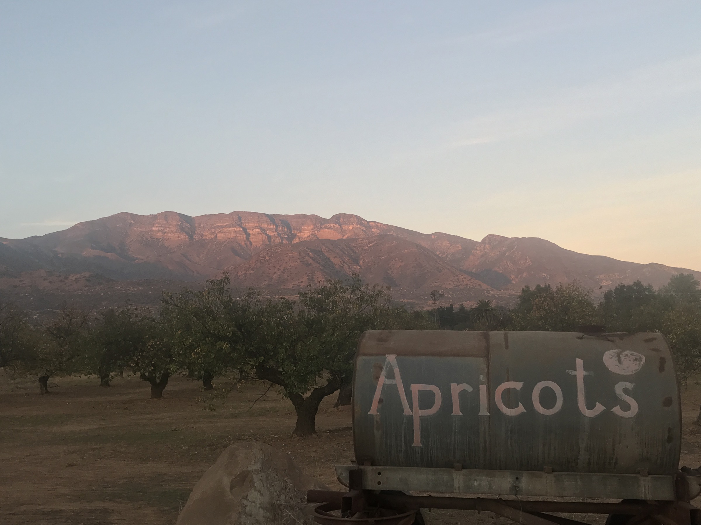 USA — Topatopa / Sespe region, California: essential day-hikes