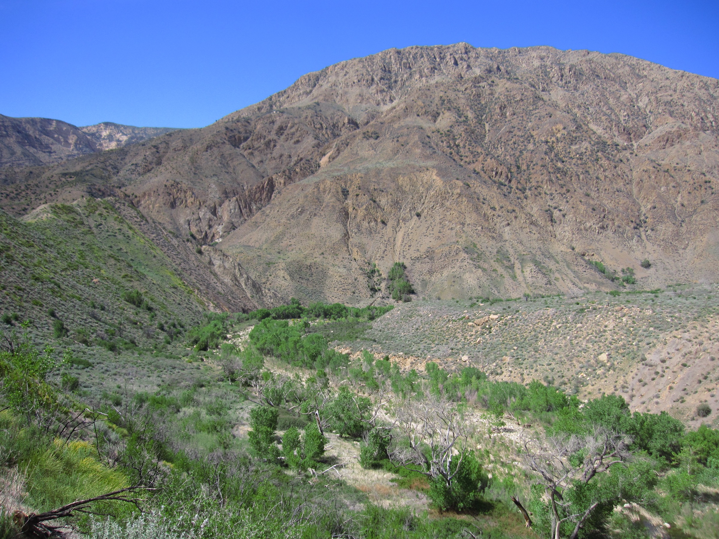 Arrière-pays de la Sespe Wilderness dans le sud de la Los Padres National Forest, Californie