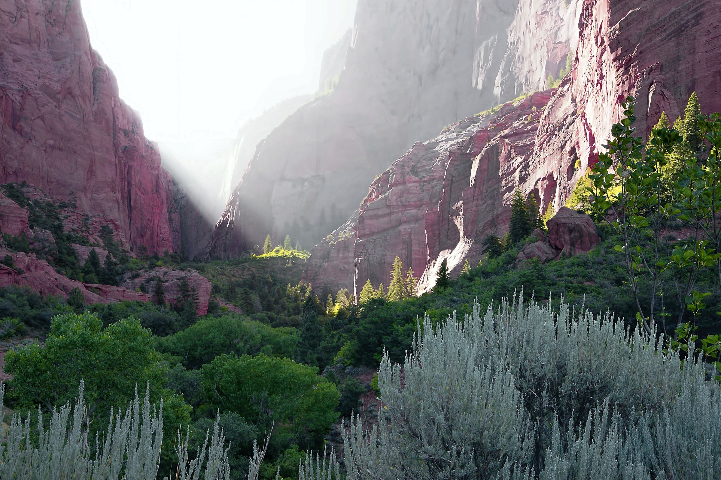 Red Navajo Sandstone finger canyons of Kolob Canyons, Zion National Park, Utah