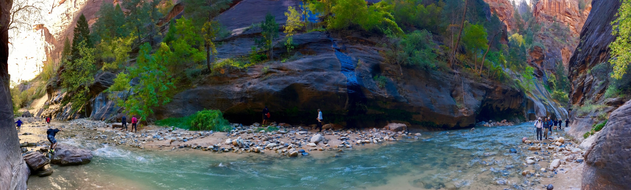 Panoramic view up the North Fork of the Virgin River through the Narrows, Zion National Park, Utah