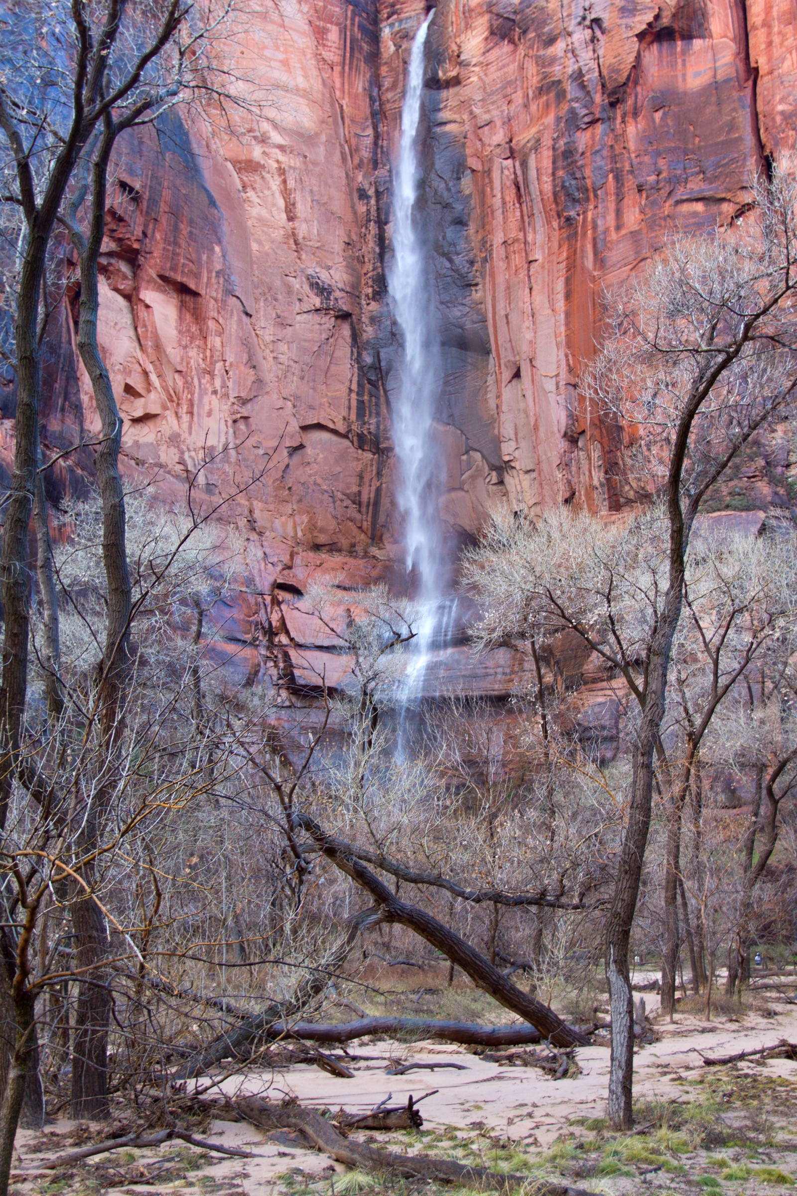 Waterfall pouring into the Upper Emerald Pool at the base of a Navajo Sandstone cliff, Zion National Park, Utah