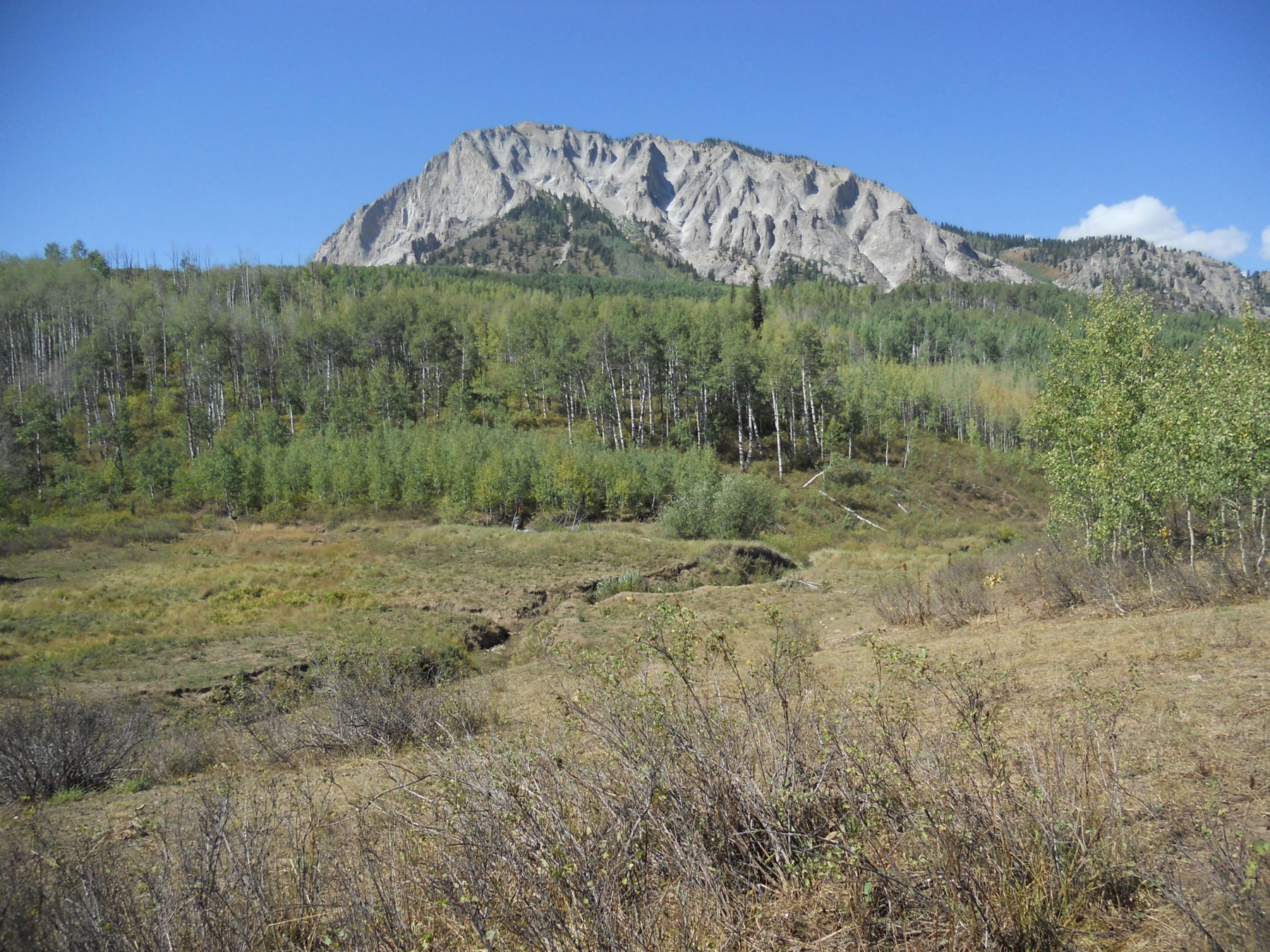 Marcellina Mountain dans la Raggeds Wilderness, Gunnison County, Colorado