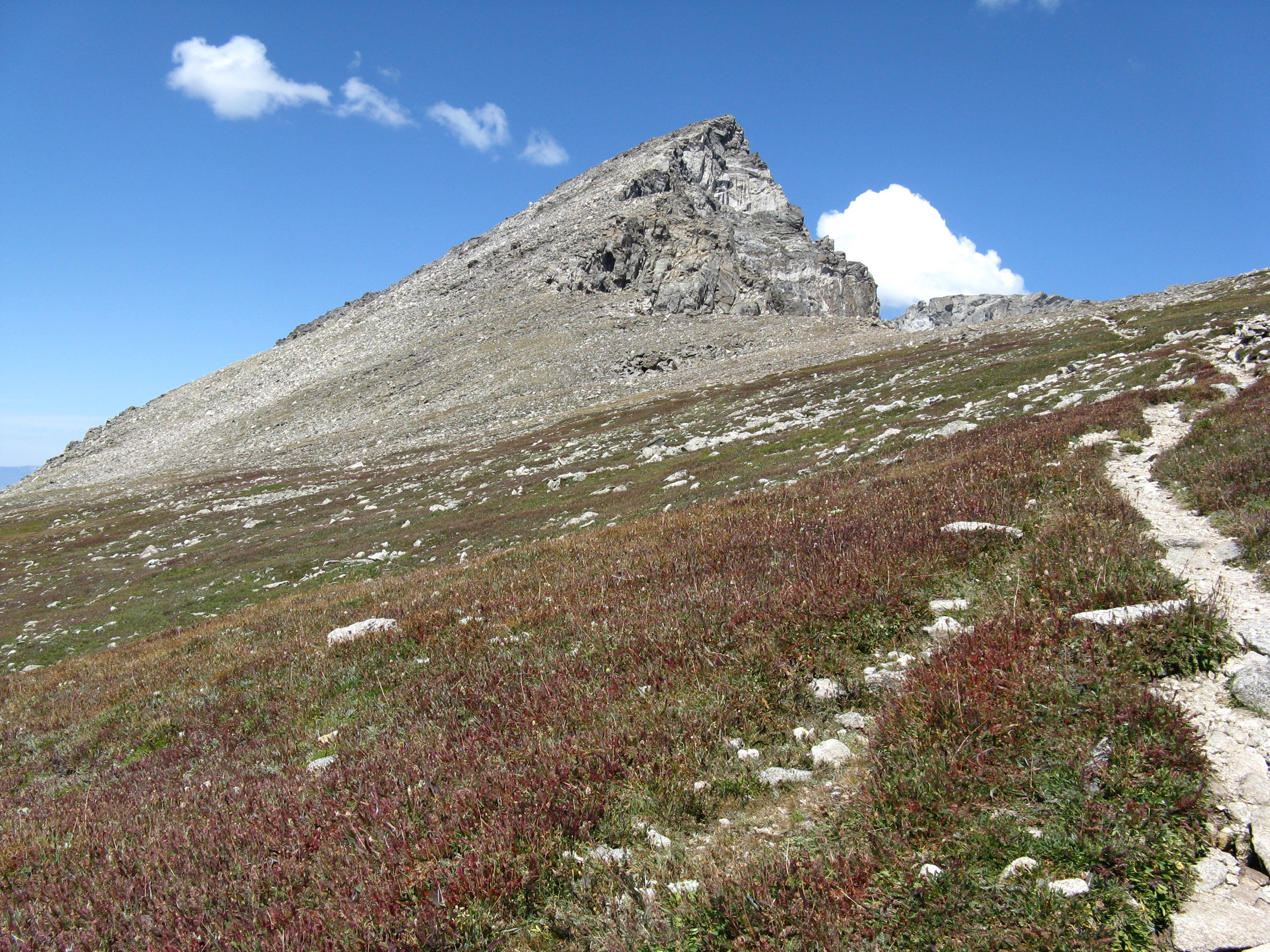 South Arapaho Peak au-dessus du bassin du glacier d'Arapaho dans l'Indian Peaks Wilderness