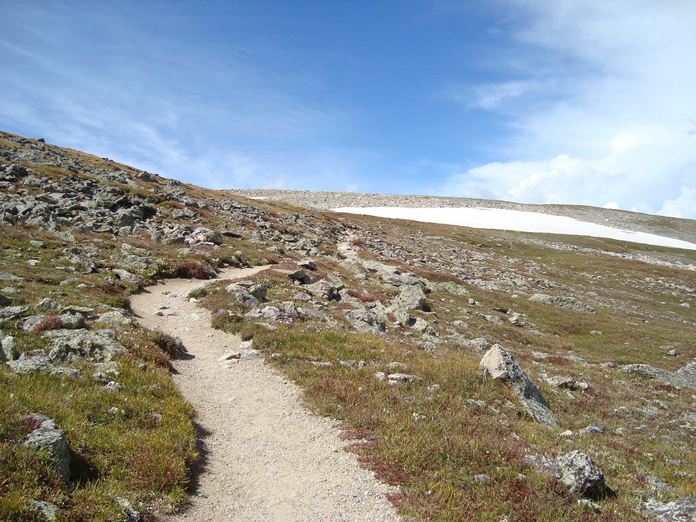 Sentier de Flattop Mountain sur la toundra alpine de la Continental Divide, parc national de Rocky Mountain