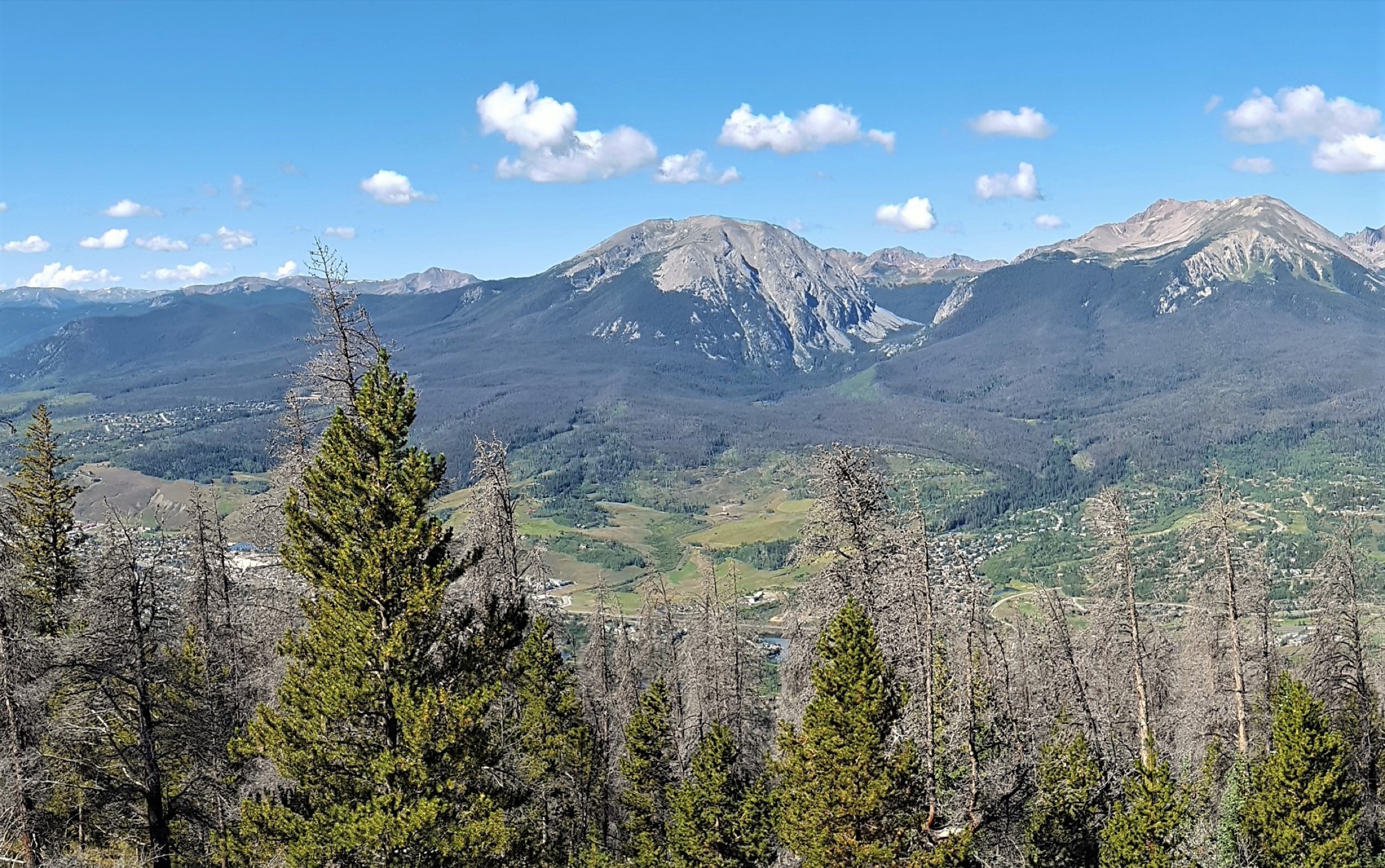 Buffalo Mountain rising above the forest, seen from the north side of the Eccles Pass approach