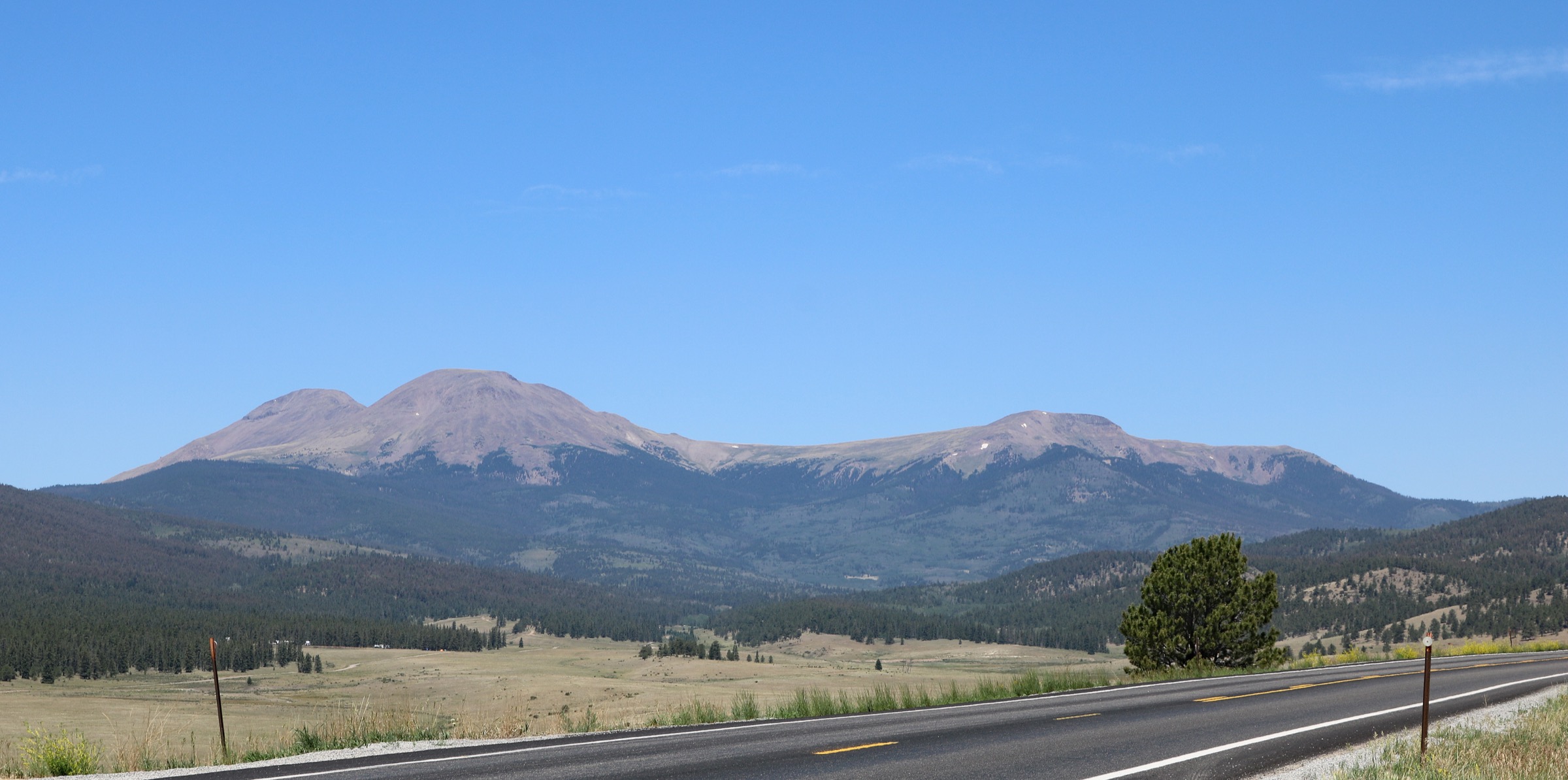Meadow and forest in the Buffalo Peaks Wilderness, southern Mosquito Range