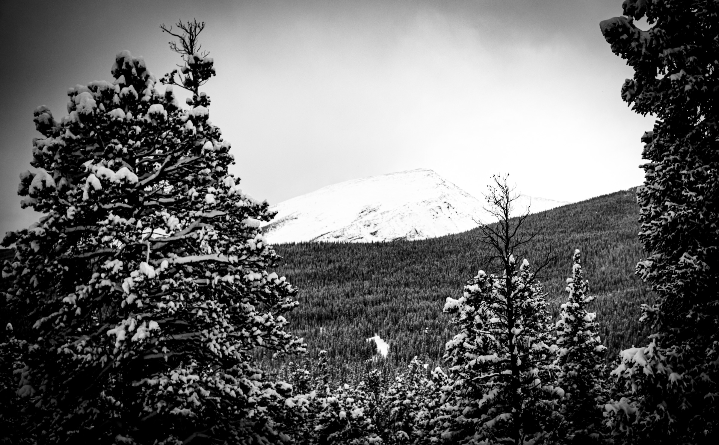 Mt. Sherman rising above the Fourmile Creek basin, with mining structures on the approach