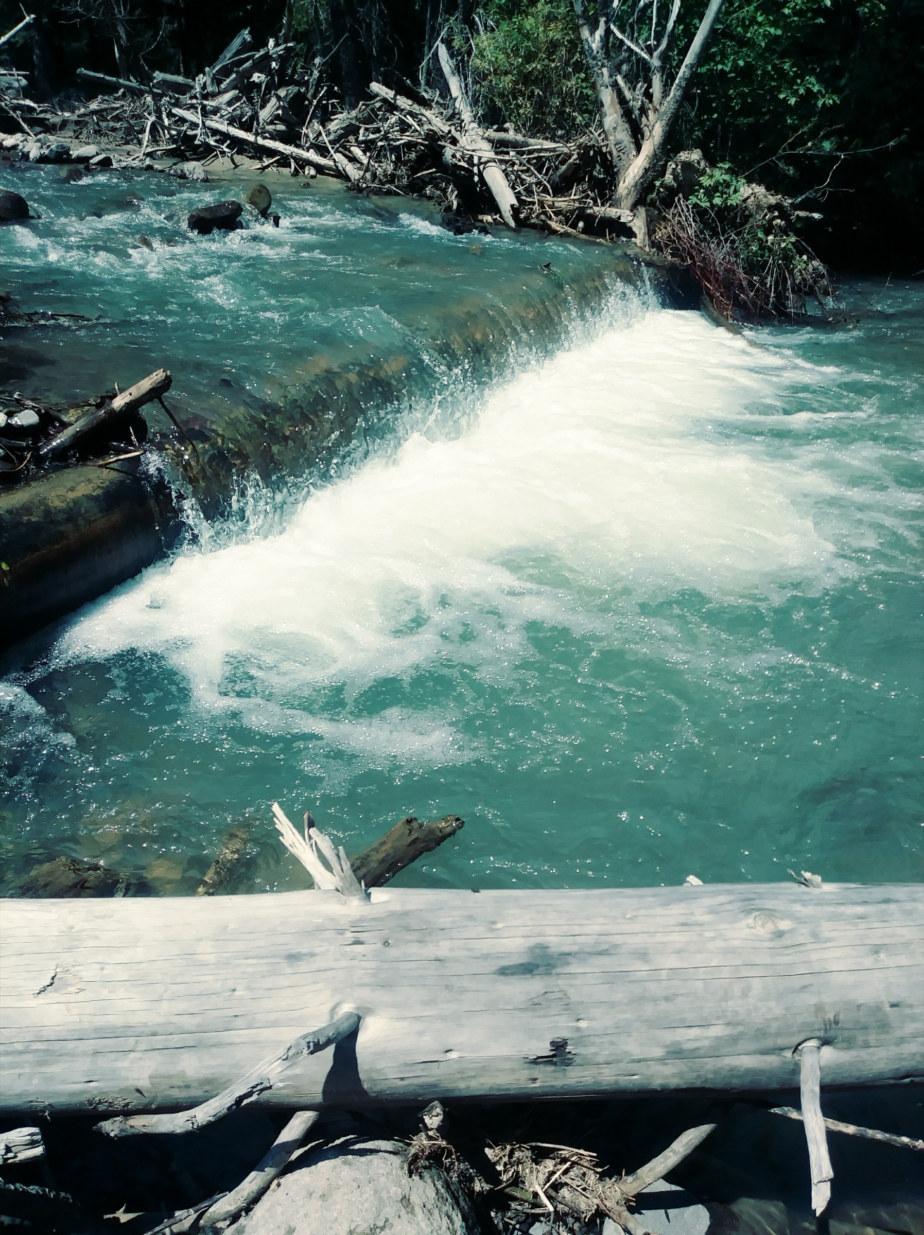 Middle Fork de la Cimarron dans l'Uncompahgre Wilderness