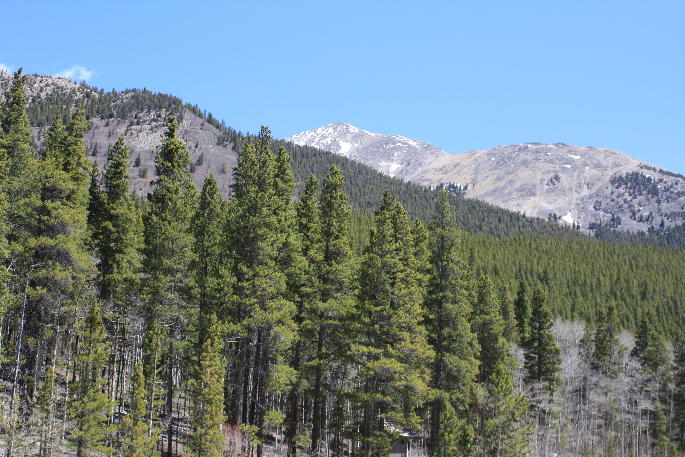 Mount Yale seen from the Denny Creek trailhead off Cottonwood Pass Road, west of Buena Vista