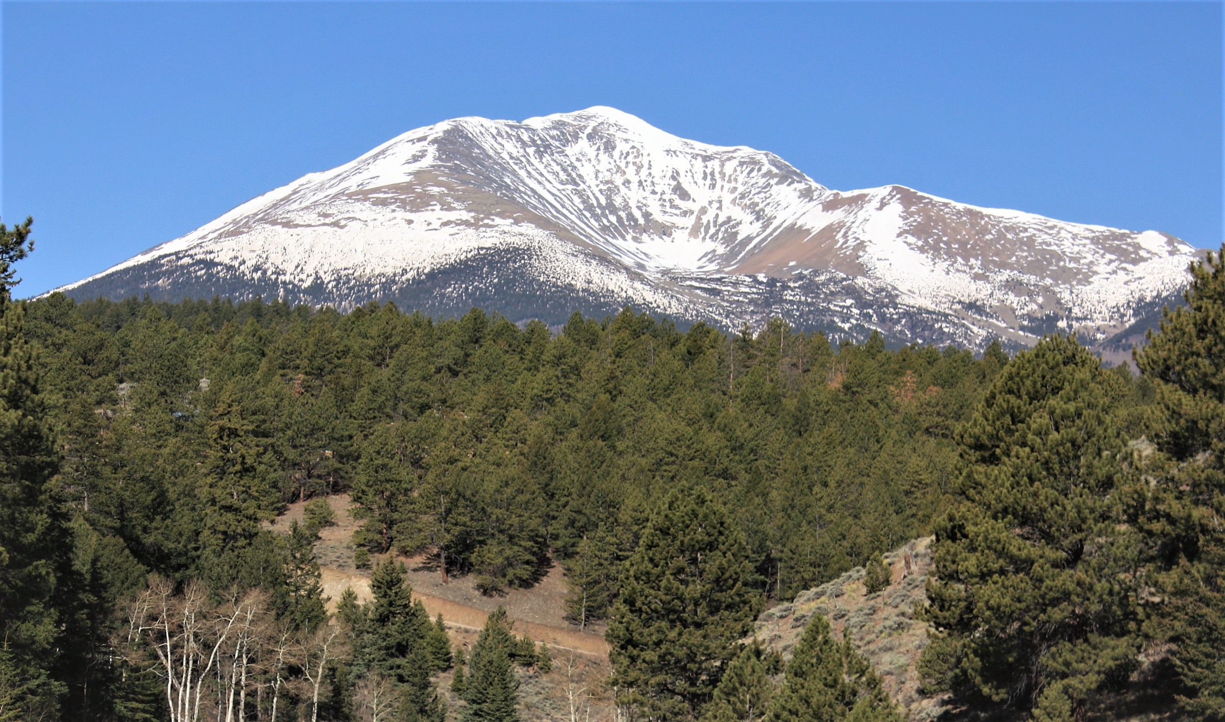 Mount Ouray, Colorado — le large dôme sommital alpin du point culminant du Sawatch sud