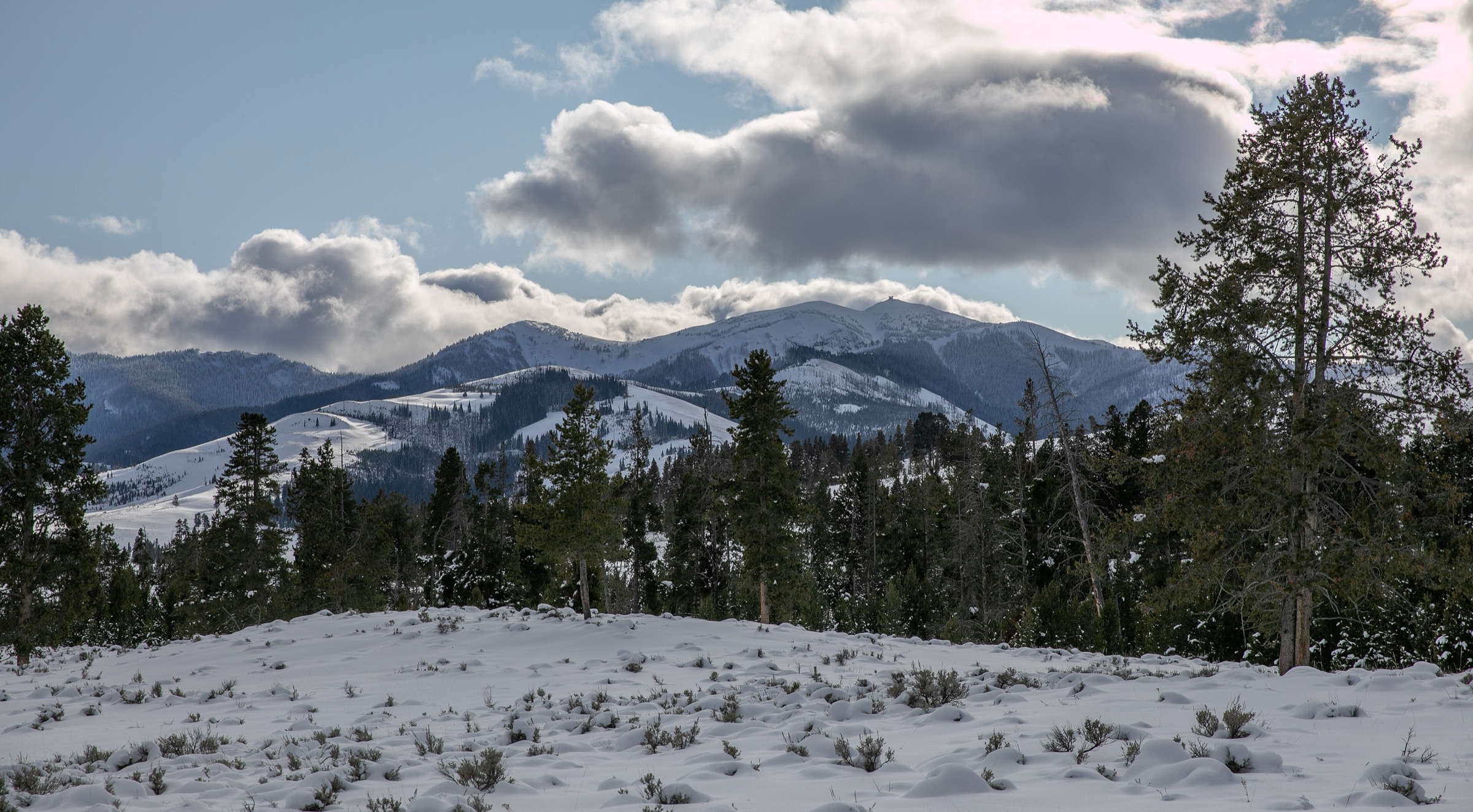 Mount Washburn dans le parc national de Yellowstone avec la tour de guet au sommet