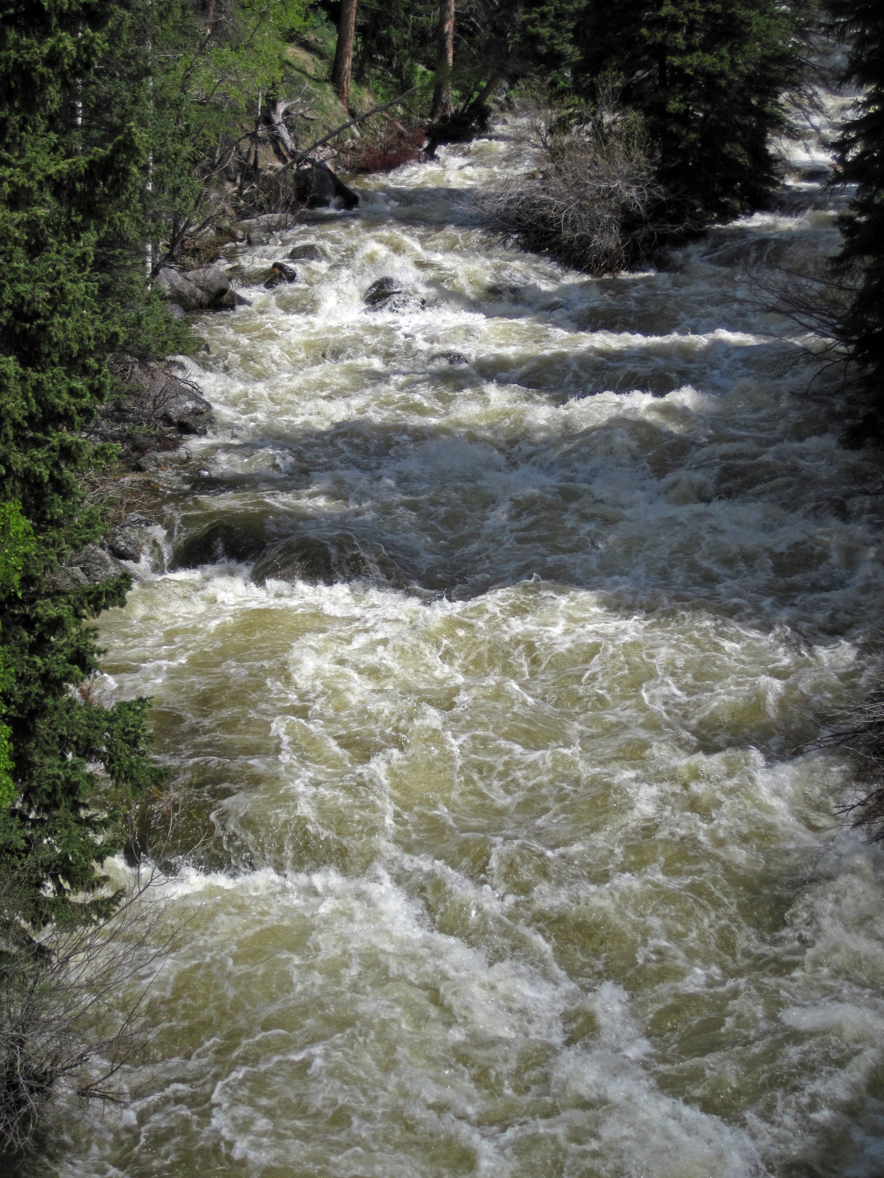 Ten Sleep Creek in Ten Sleep Canyon
