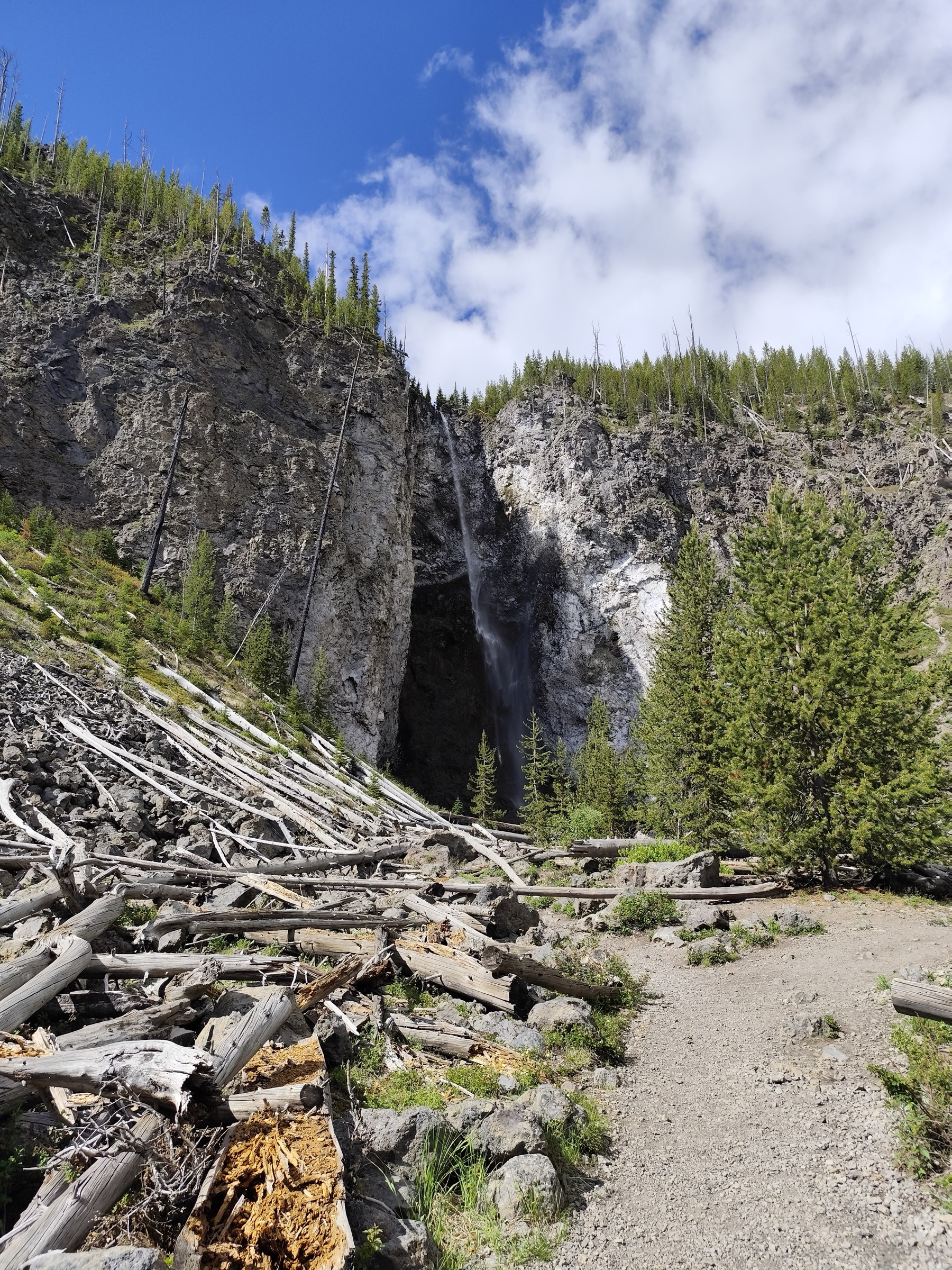 Fairy Falls dropping ~60 m into a forested basin in the Midway Geyser Basin, Yellowstone National Park