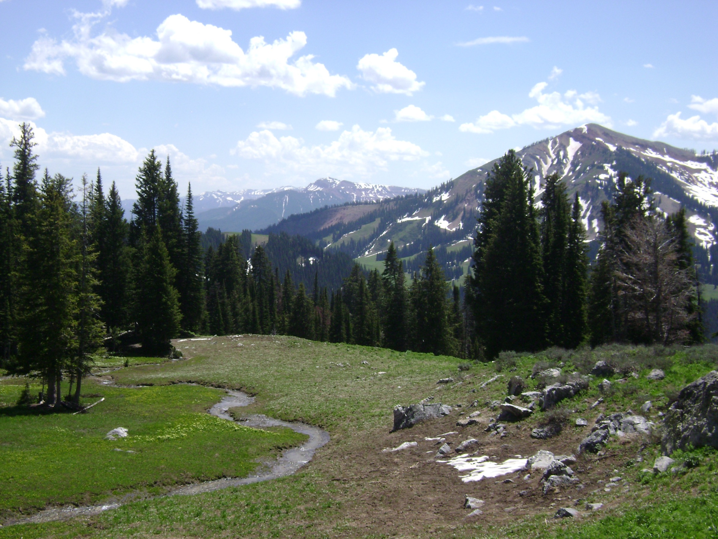 Prairie ouverte et crête sur le Highline Trail dans la Gros Ventre Wilderness