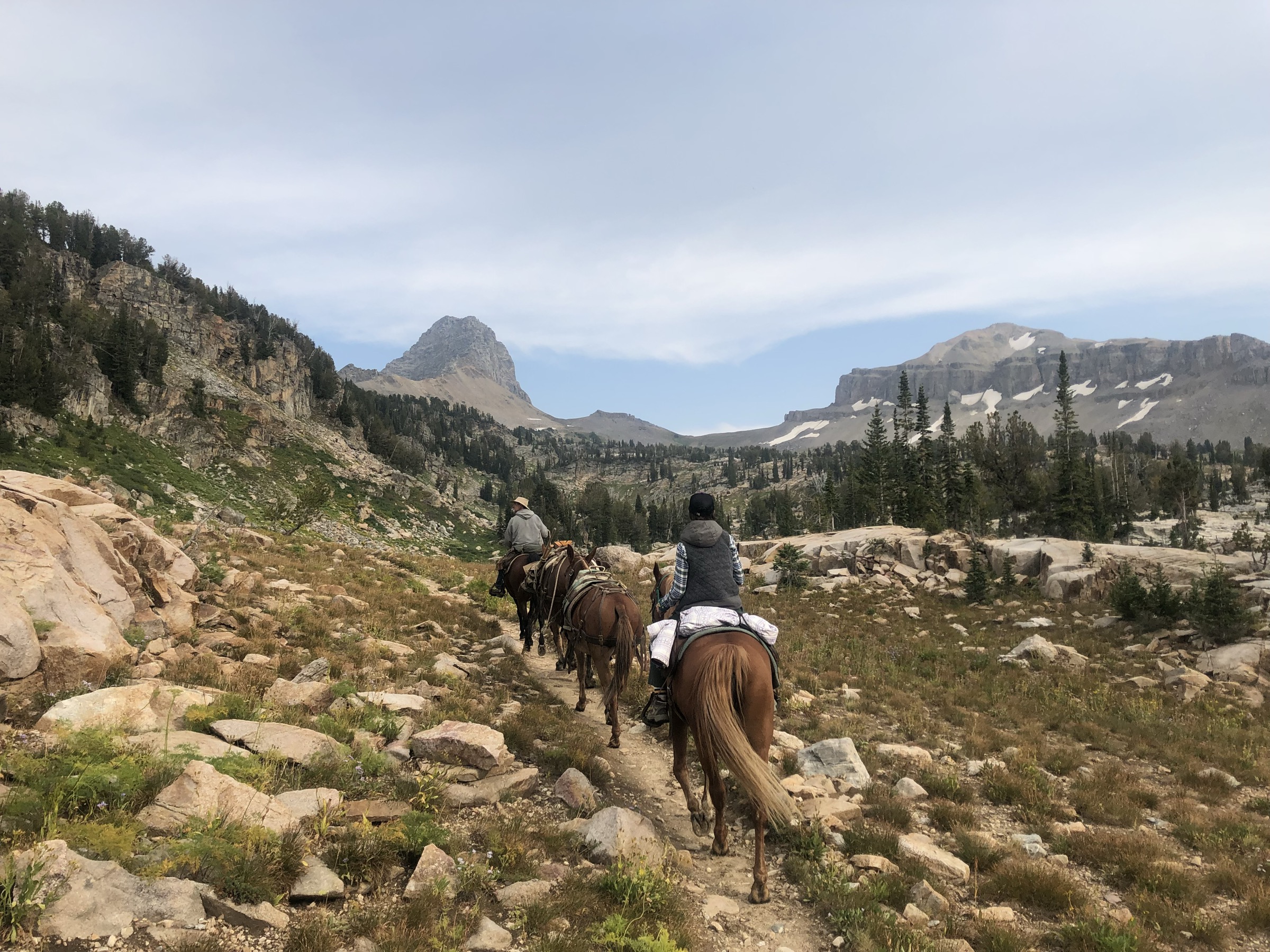 Prairie et forêt dans Alaska Basin sur le versant ouest de la Teton Range