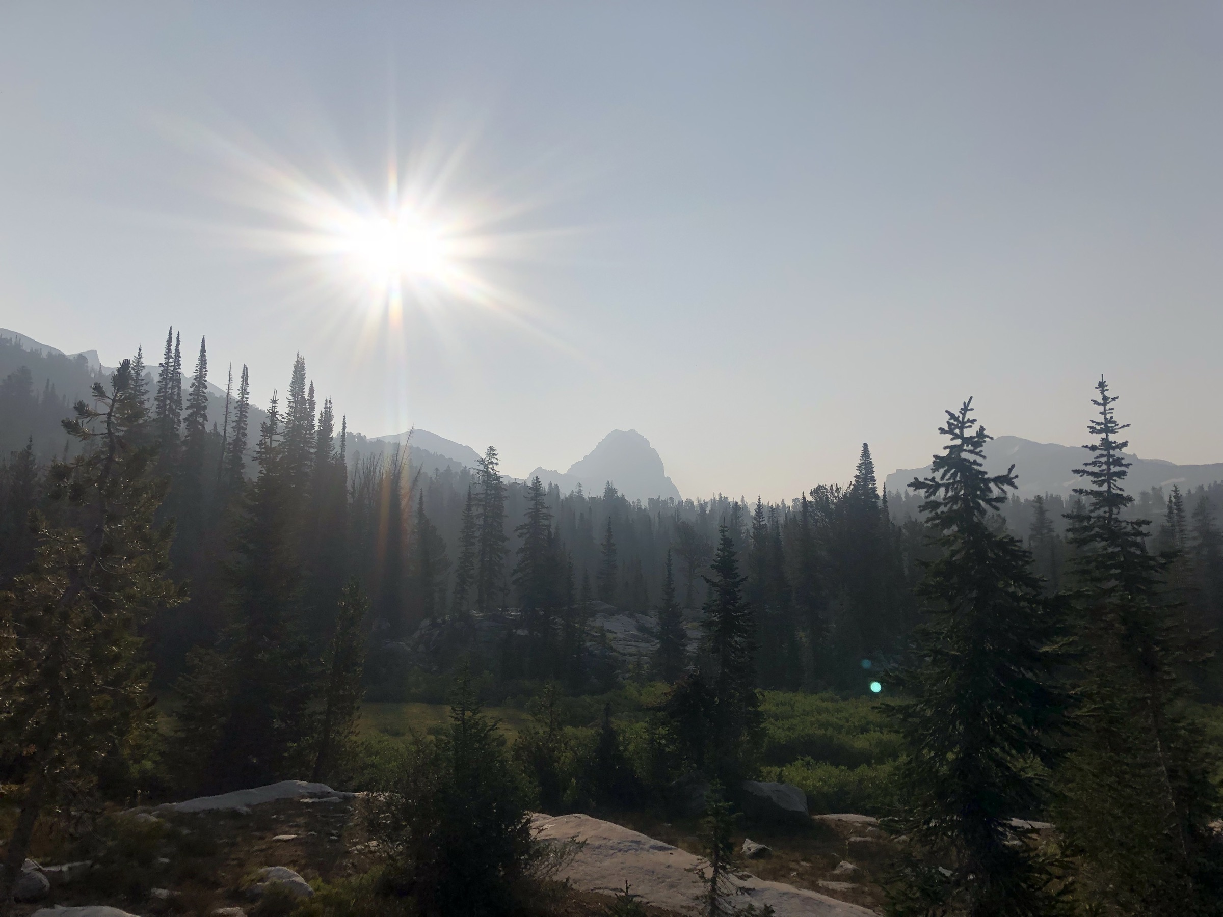 USA — Jedediah Smith Wilderness: essential day-hikes