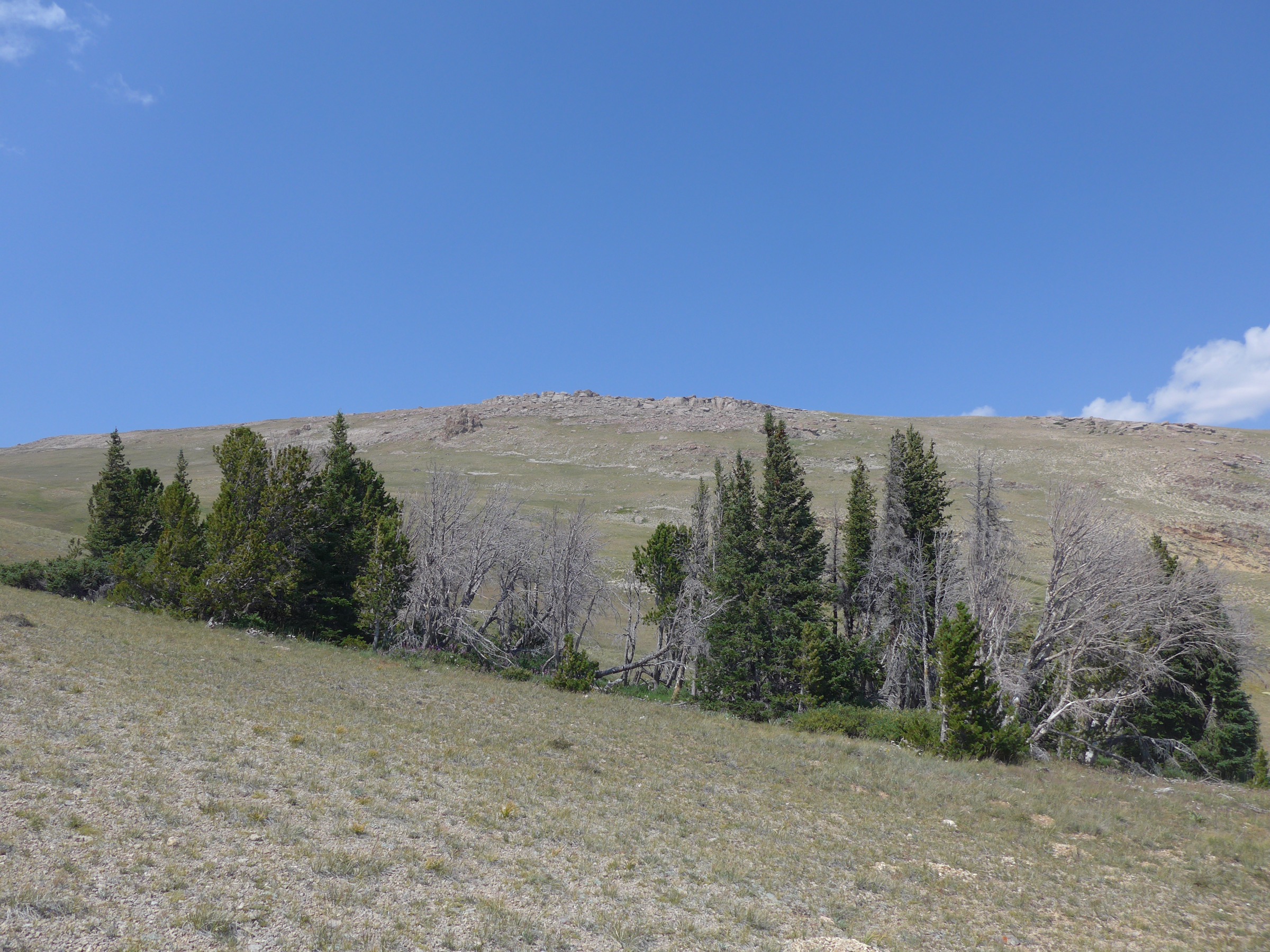 Whiskey Mountain depuis le sud, Dubois, Wyoming