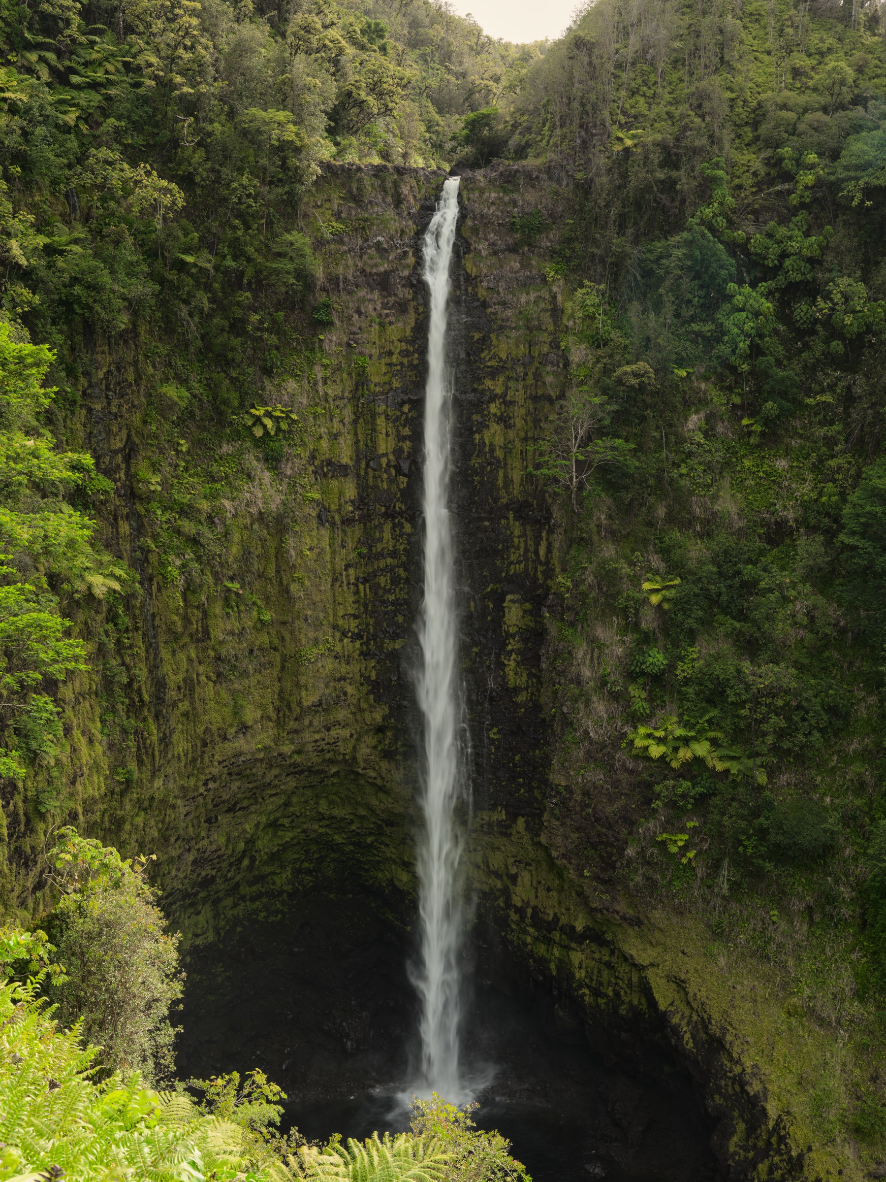 ʻAkaka Falls plunging into a stream-eroded gorge on the Hāmākua Coast