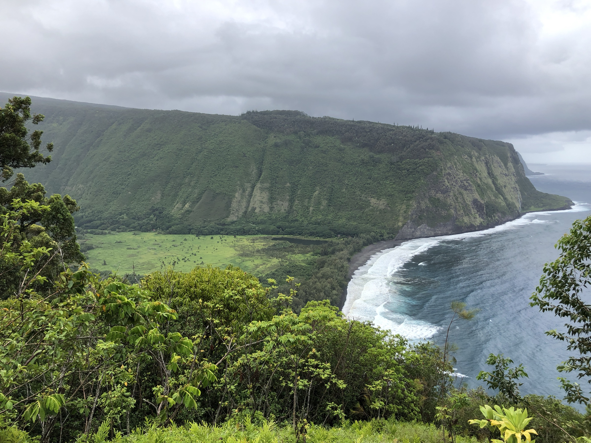 USA — Hawaiʻi Island: Hāmākua and Waipiʻo highlands day hikes