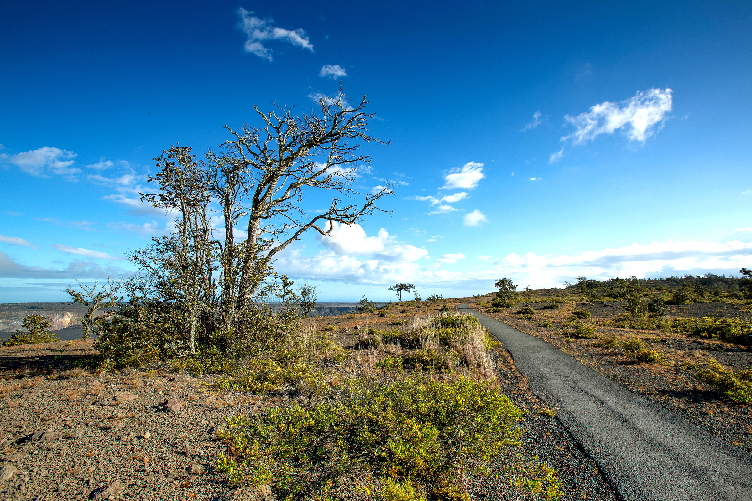 View across Kīlauea Caldera from the Crater Rim Trail near Kīlauea Overlook