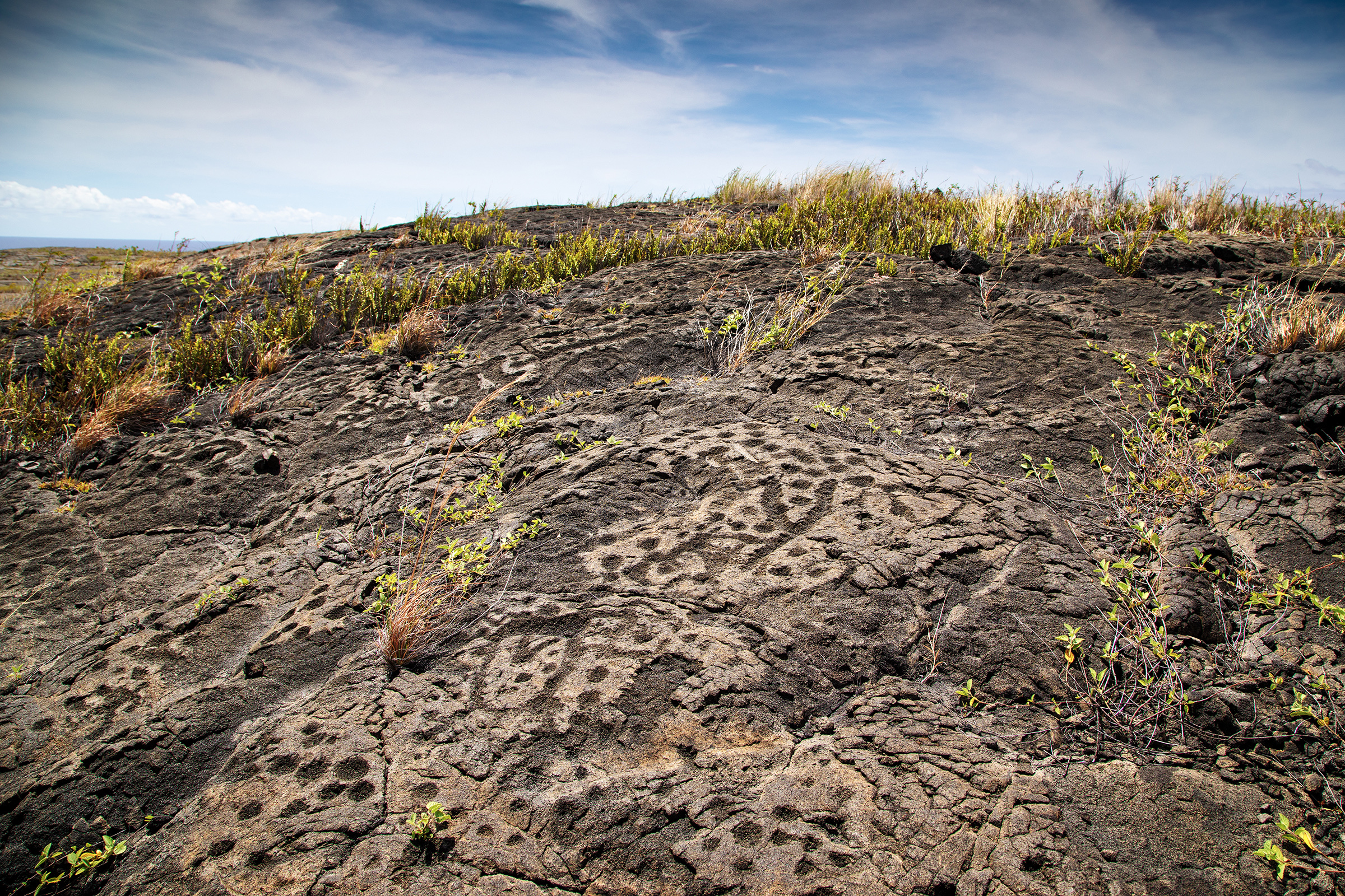 Boardwalk over the Puʻuloa Petroglyphs field on the coastal lava landscape