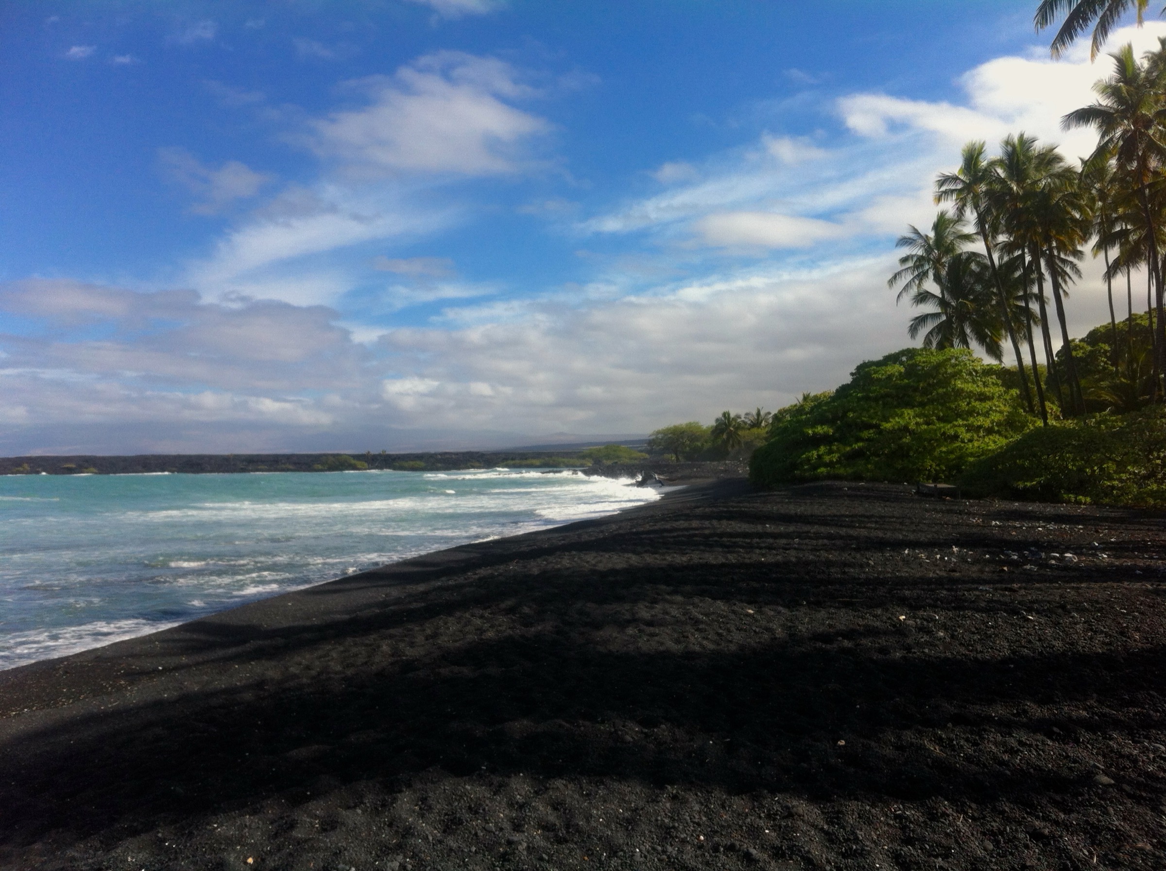 Kīholo Bay palms and lava shoreline, South Kohala / North Kona coast