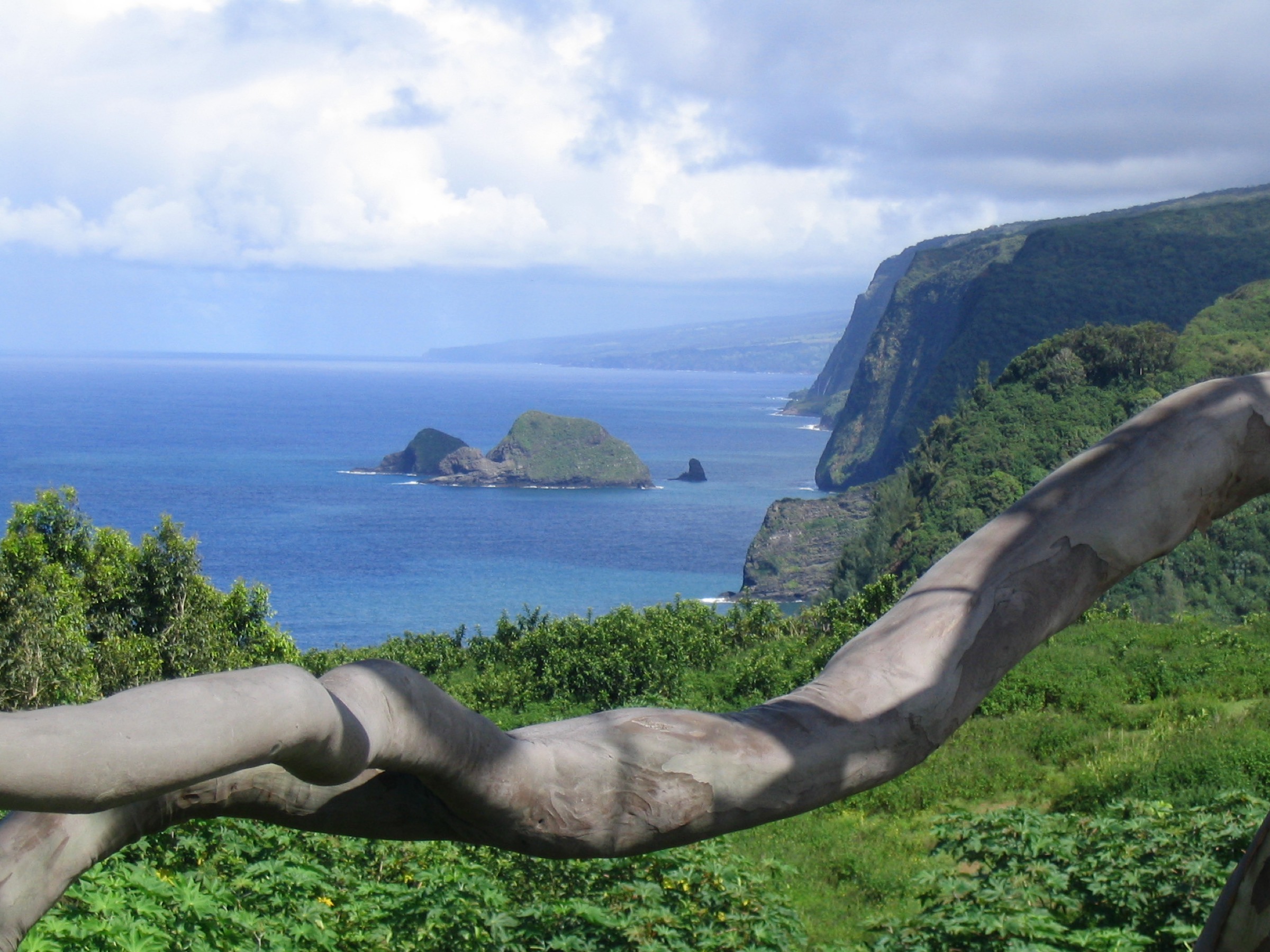 Pololū Valley from the lookout at the end of the North Kohala road