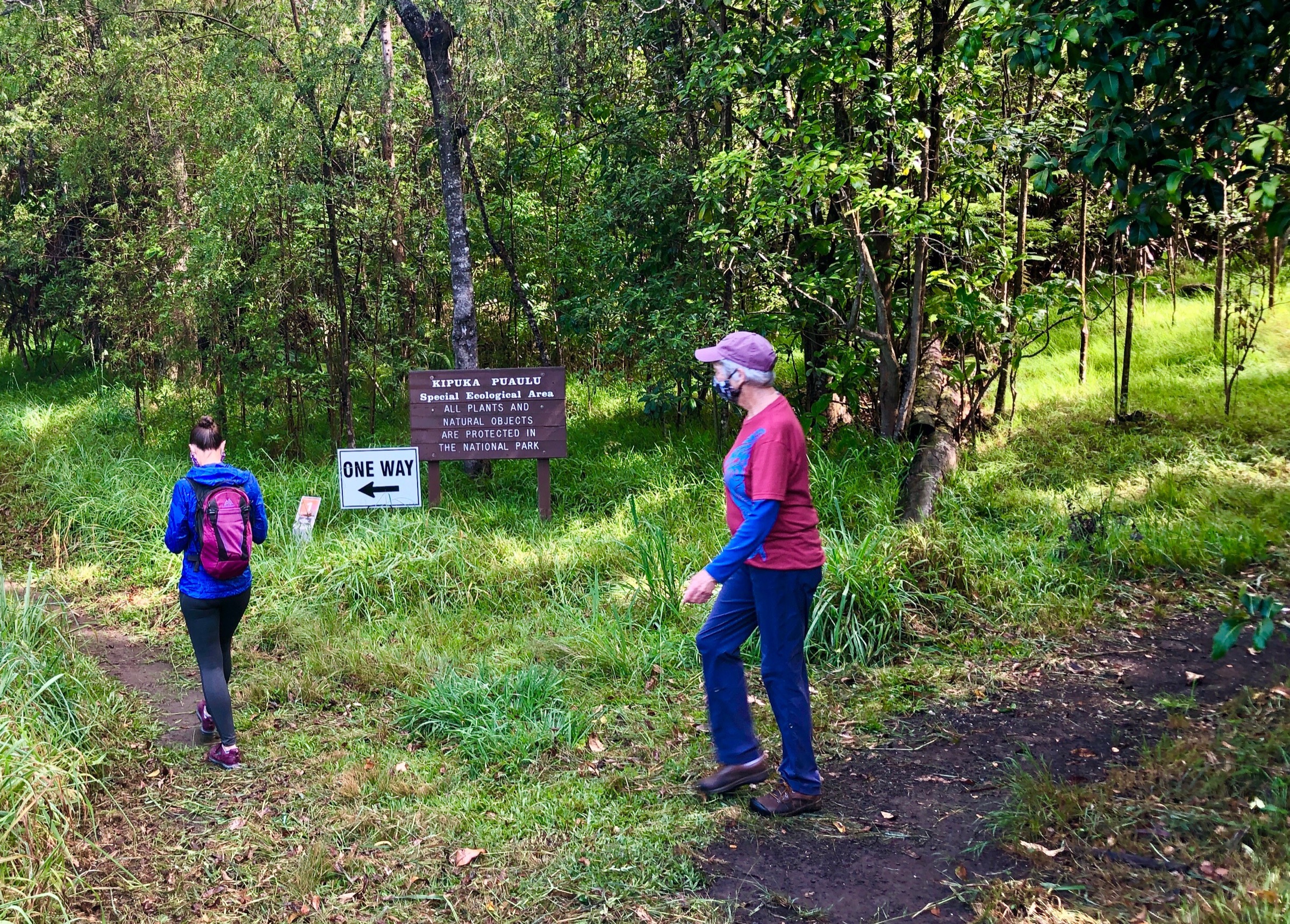 Hikers on the Kīpukapuaulu Trail, walking through old-growth native forest surrounded by younger Mauna Loa lava