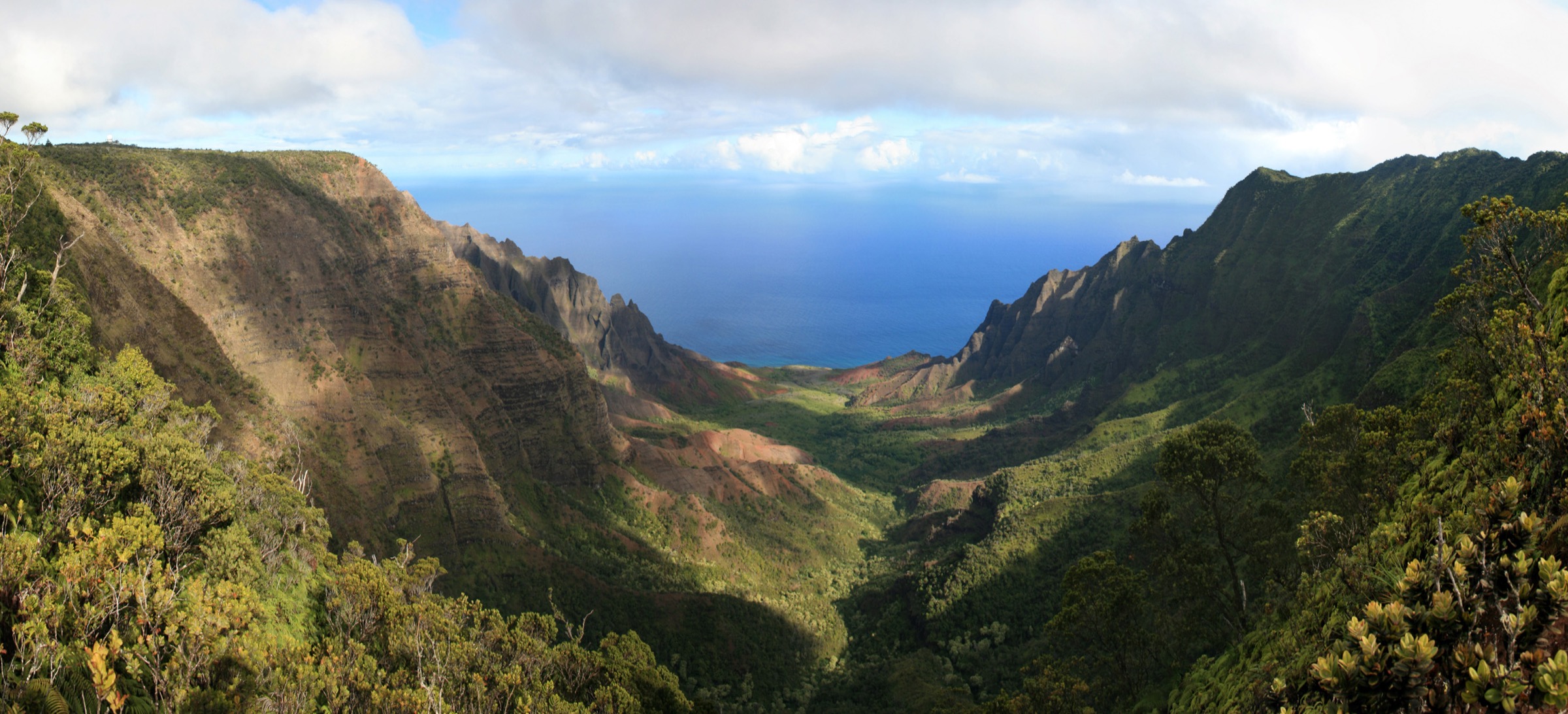 Vallée de Kalalau vue depuis le Pihea Trail sur le rebord du Nā Pali–Kona Forest Reserve