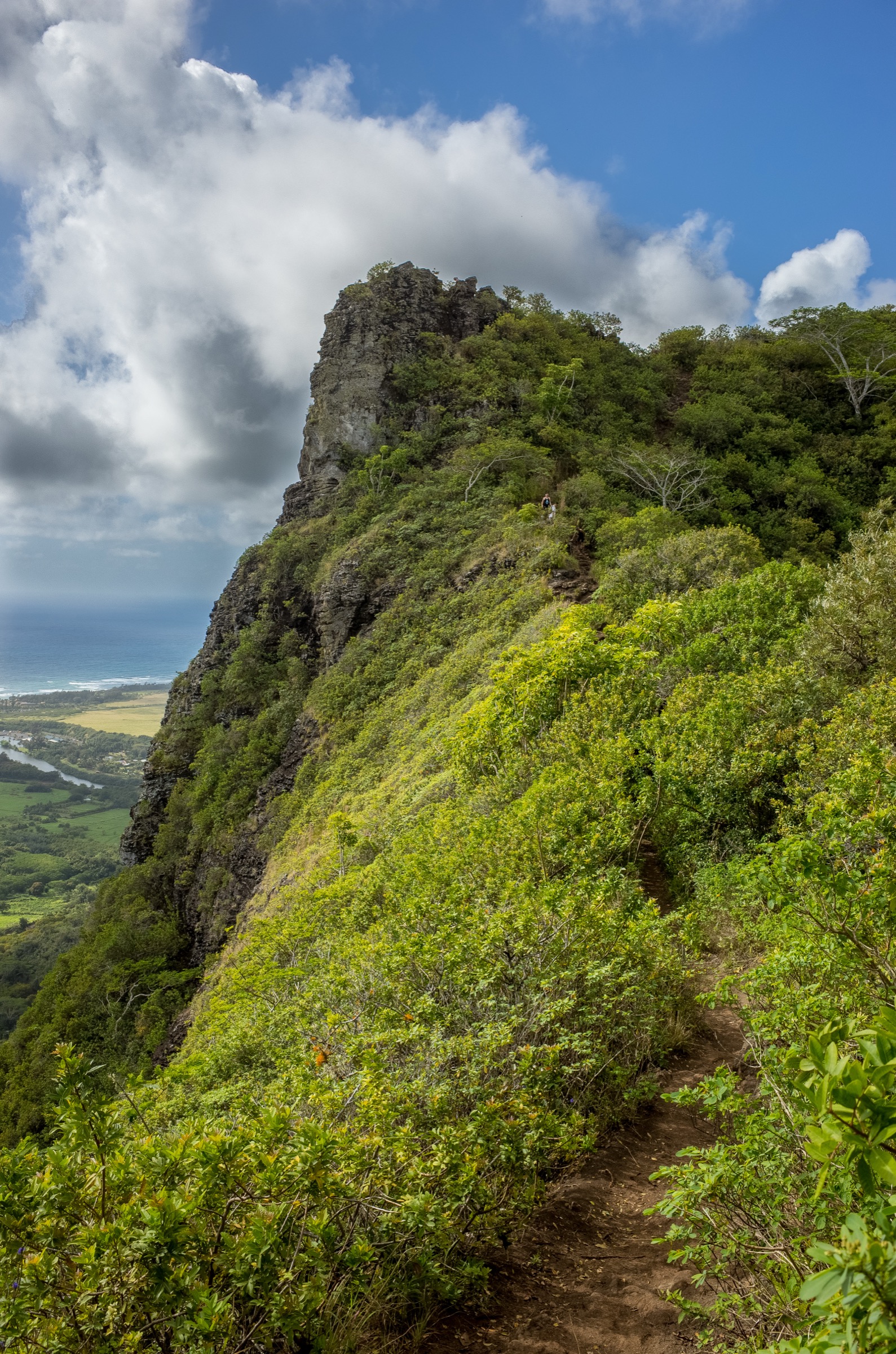 The final ascent on the Sleeping Giant East Trail, Nounou Mountain, Kauaʻi