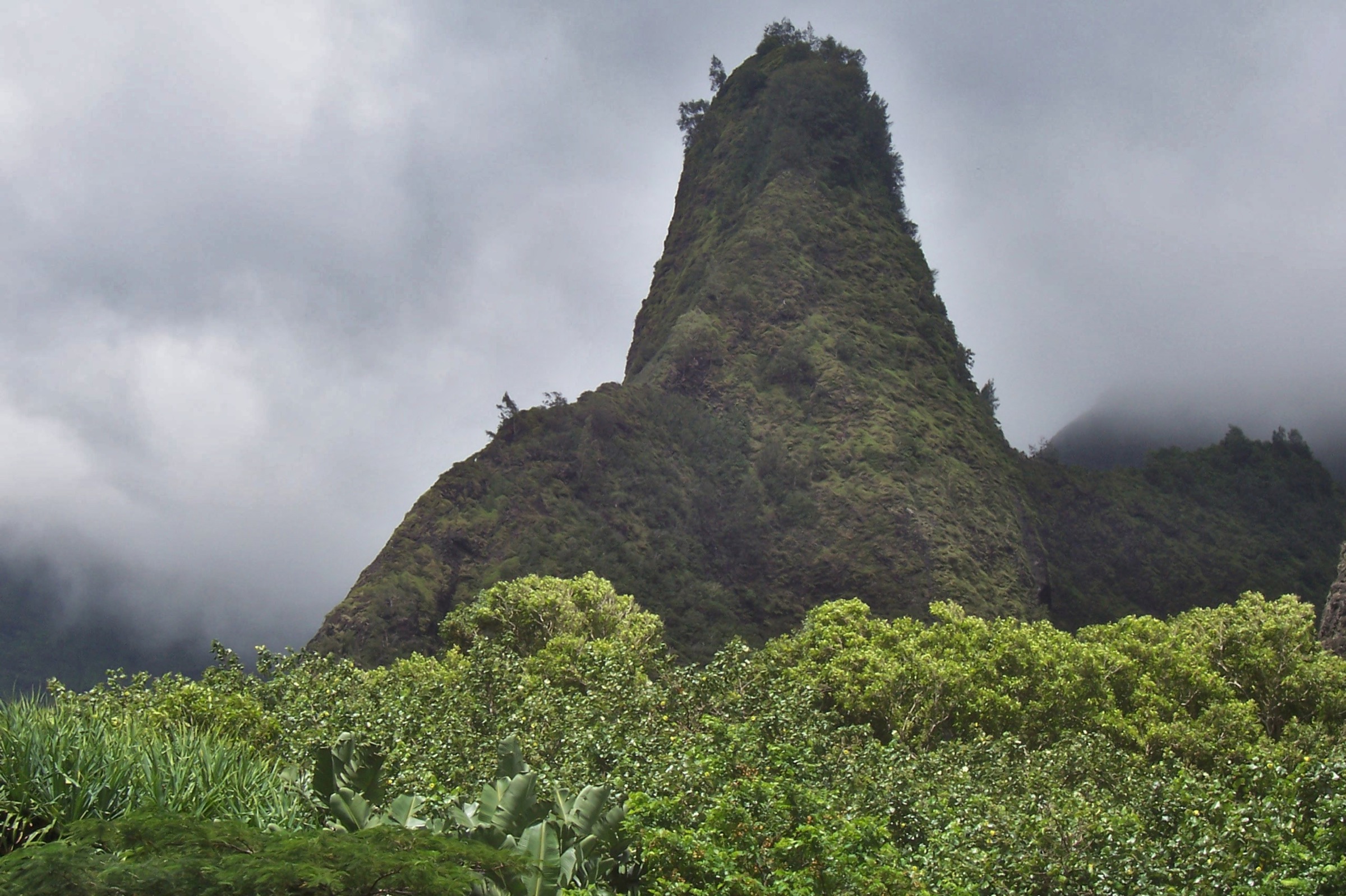 Kukaʻemoku, the ʻĪao Needle, rising sharply above the wet valley floor at ʻĪao Valley State Monument, Wailuku, Maui