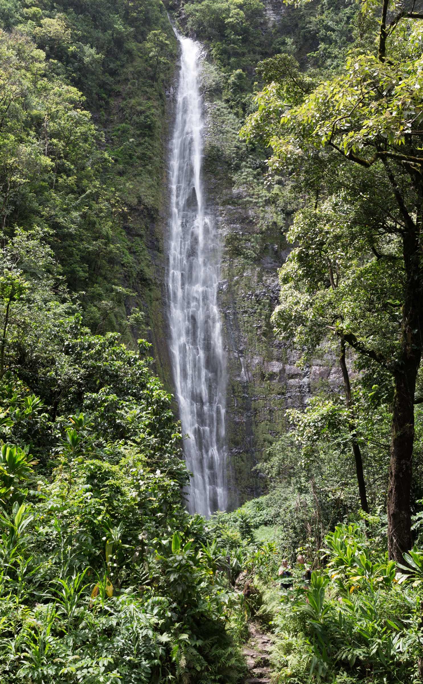 USA — Maui: Kīpahulu and East Maui Day-Hikes