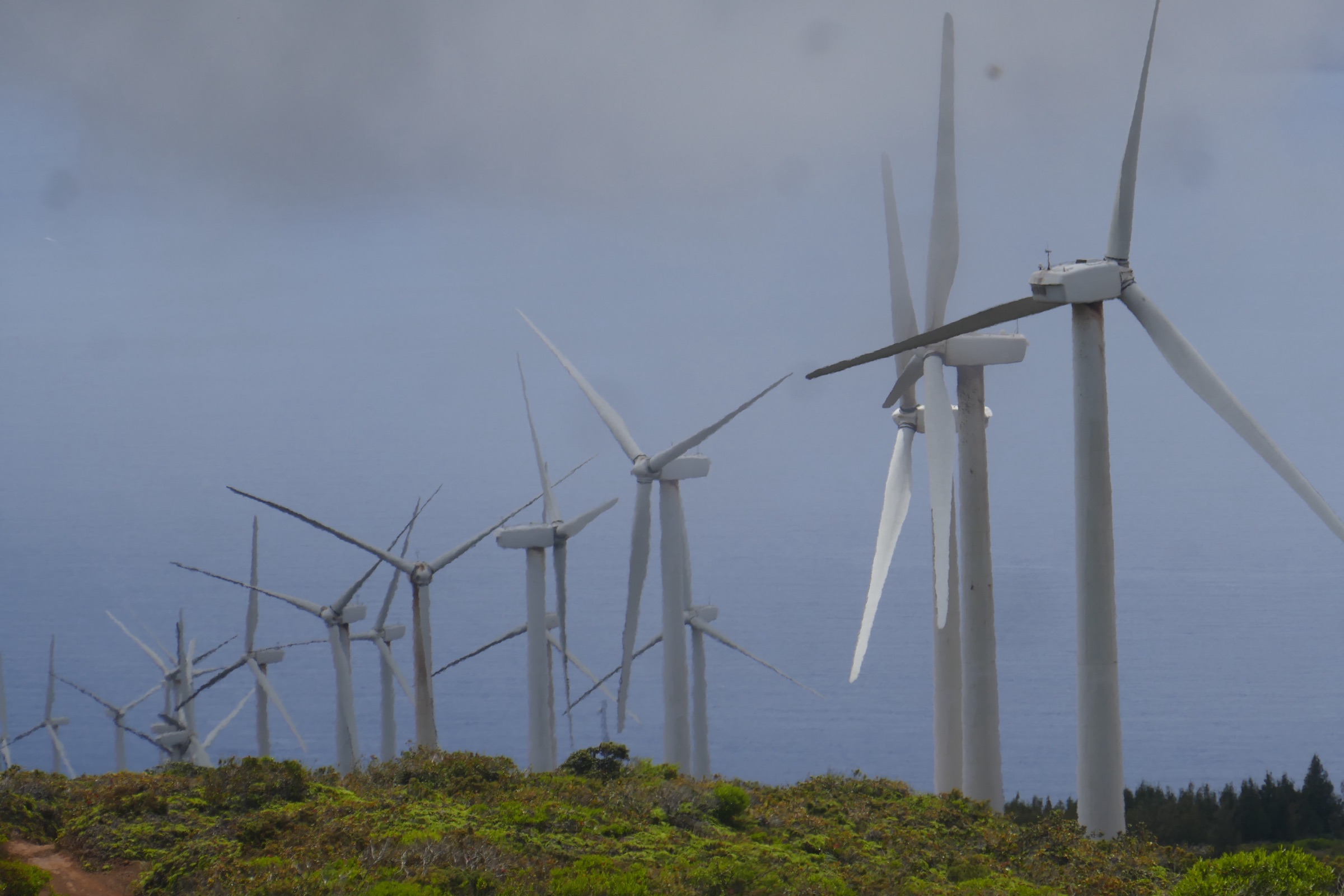 The Lāhainā Pali Trail under the Kaheawa wind turbines, leeward West Maui Mountains