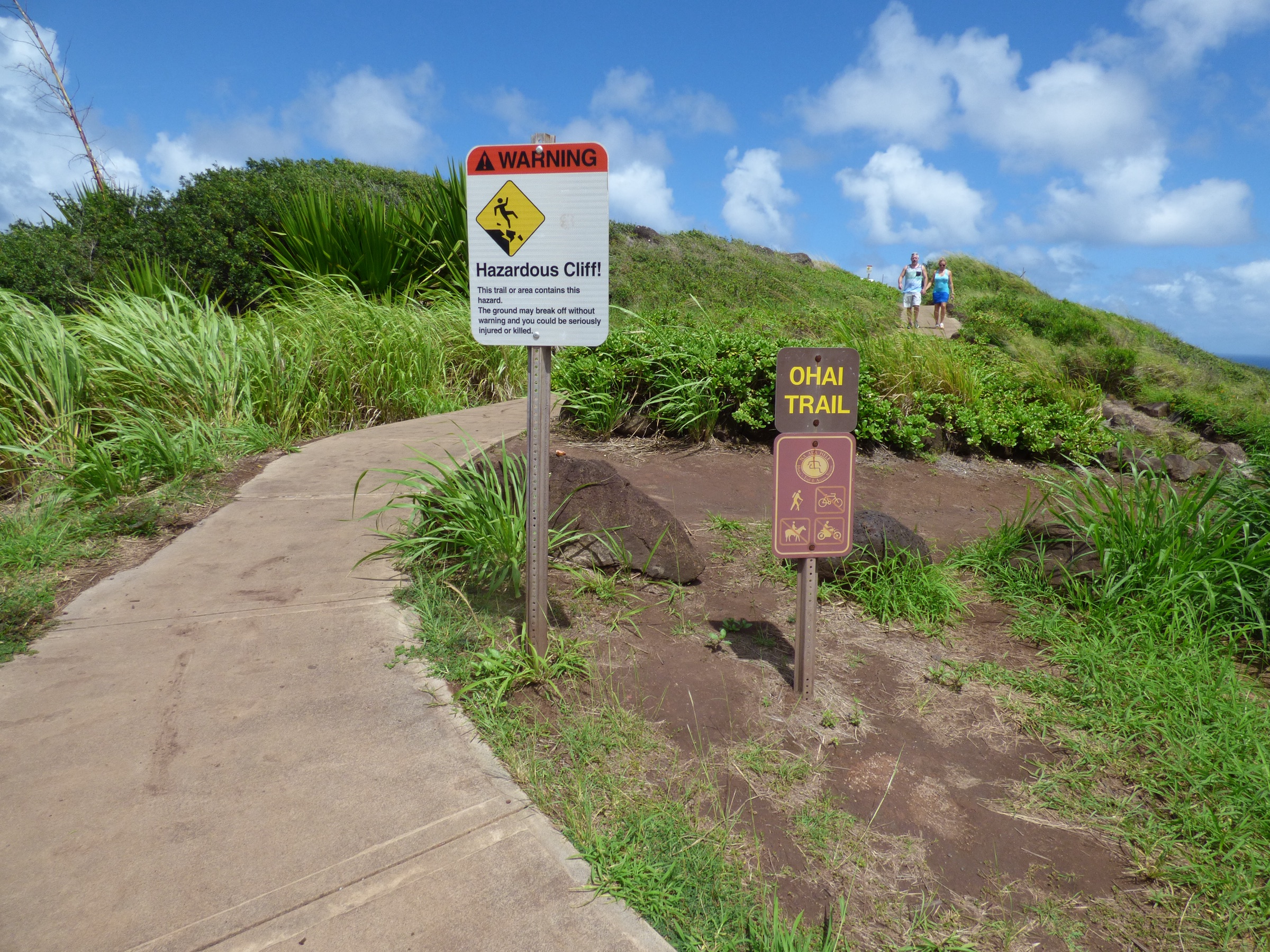 Native coastal vegetation along the ʻŌhai Trail at Papanalahoa, northwest West Maui