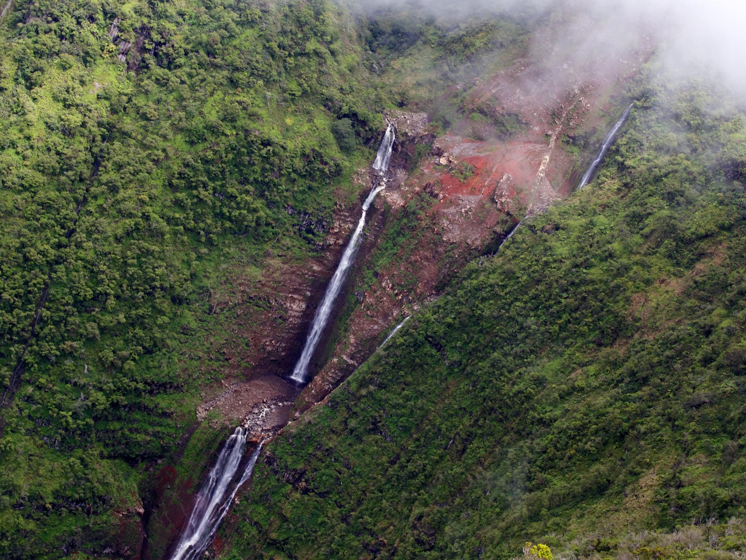 Vallée de Waikolu depuis le rebord du Molokaʻi Forest Reserve, cascades dévalant les falaises