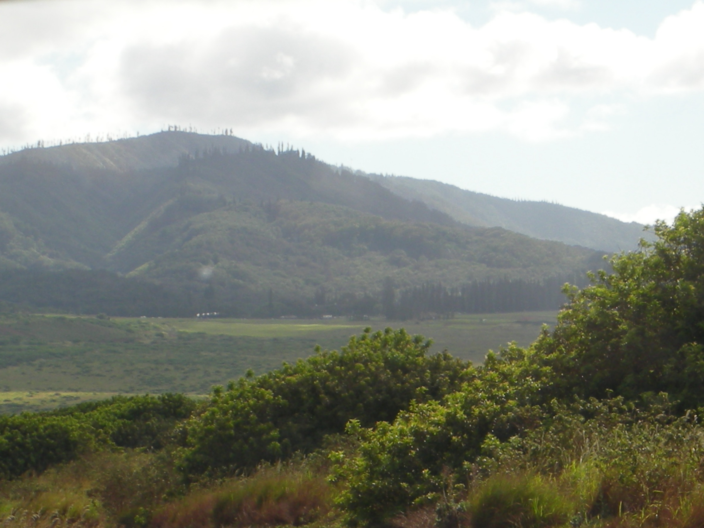 USA — Lānaʻi: Highlands and heritage day-hikes
