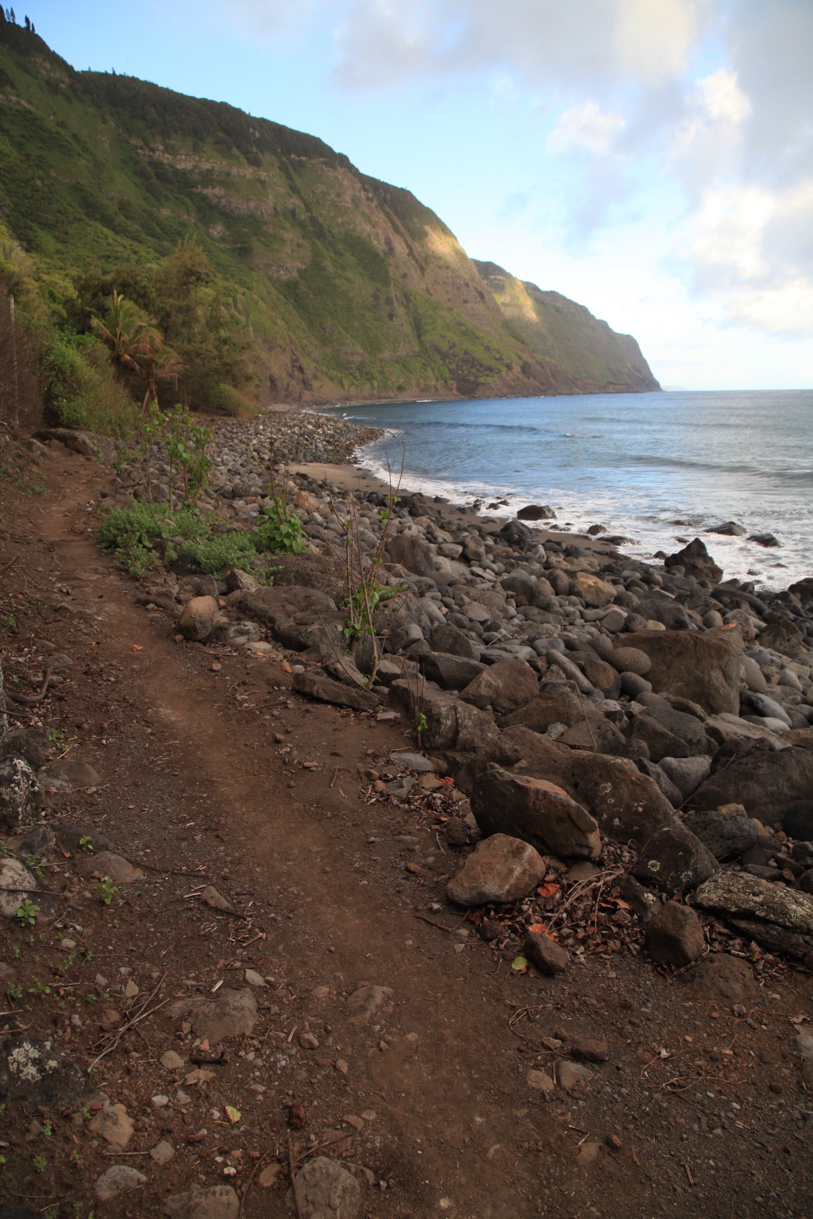Section du Kalaupapa Pali Trail descendant en lacets la falaise marine vers la péninsule