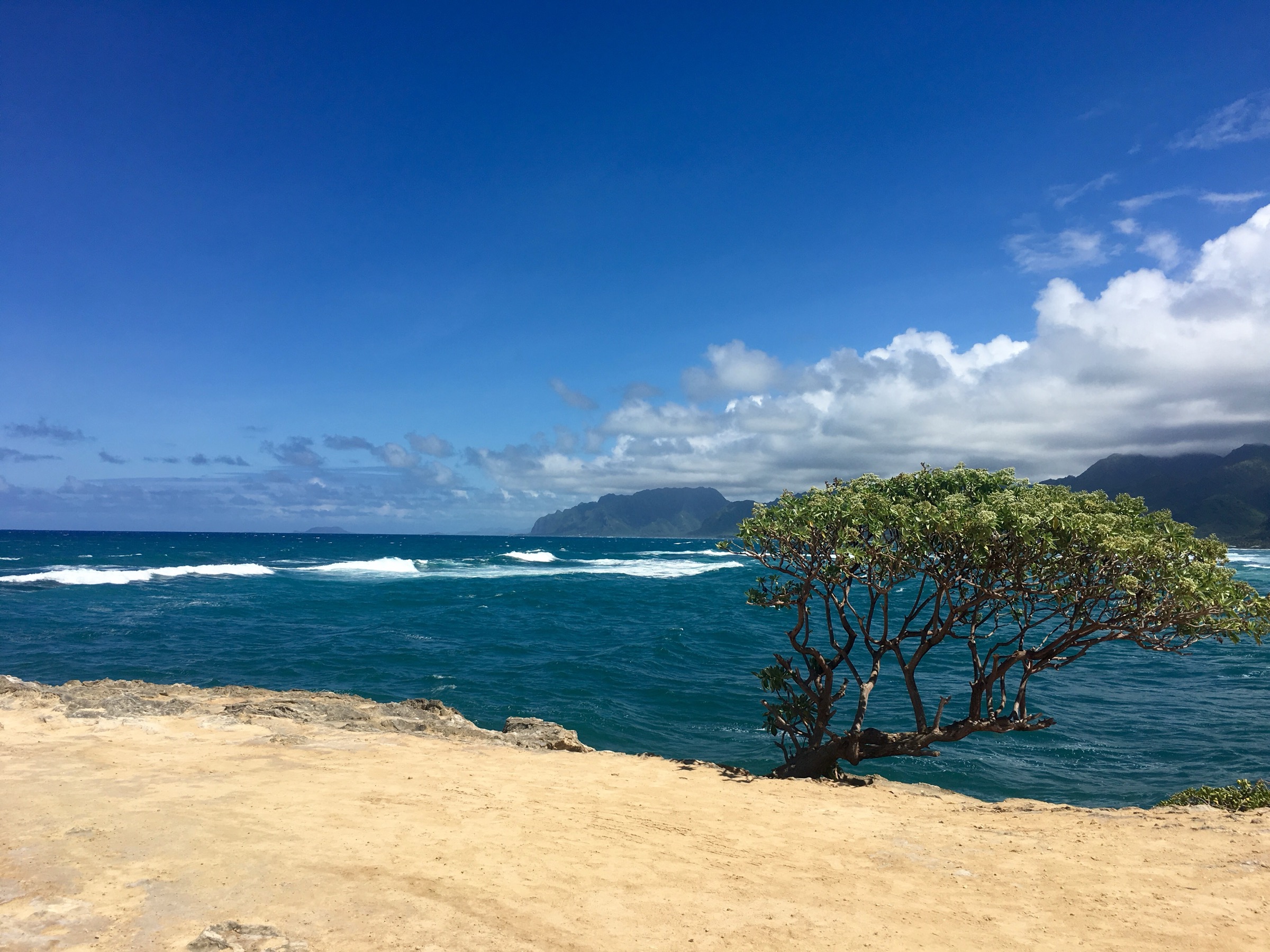 Laʻie Point et la côte nord-est des Koʻolau
