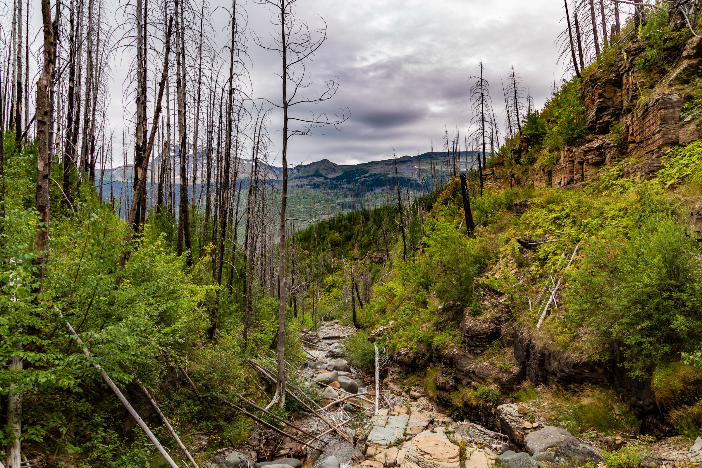 USA — Glacier National Park, Montana: essential day-hikes