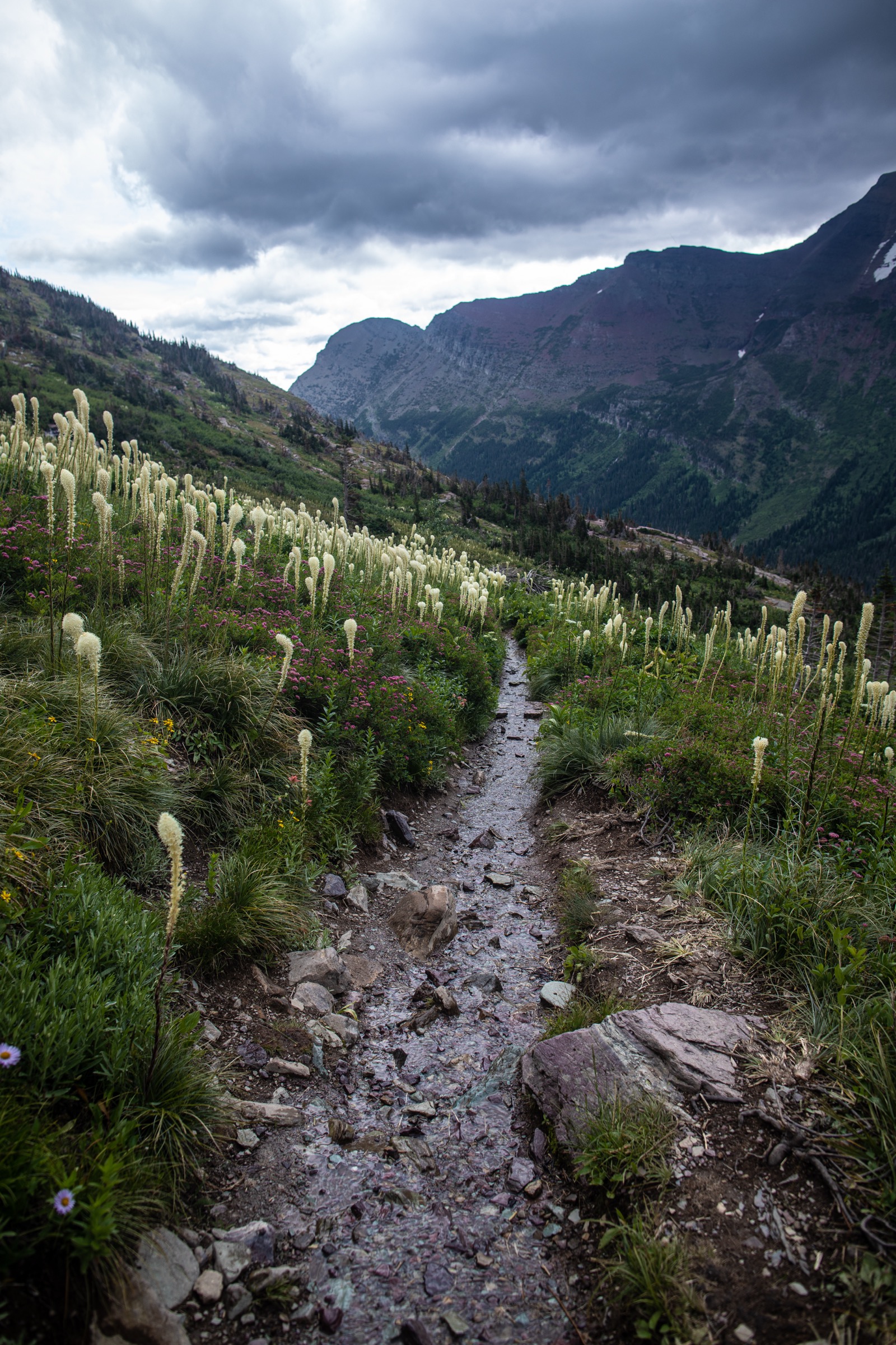 Grinnell Glacier Trail au-dessus de Josephine Lake, Glacier National Park