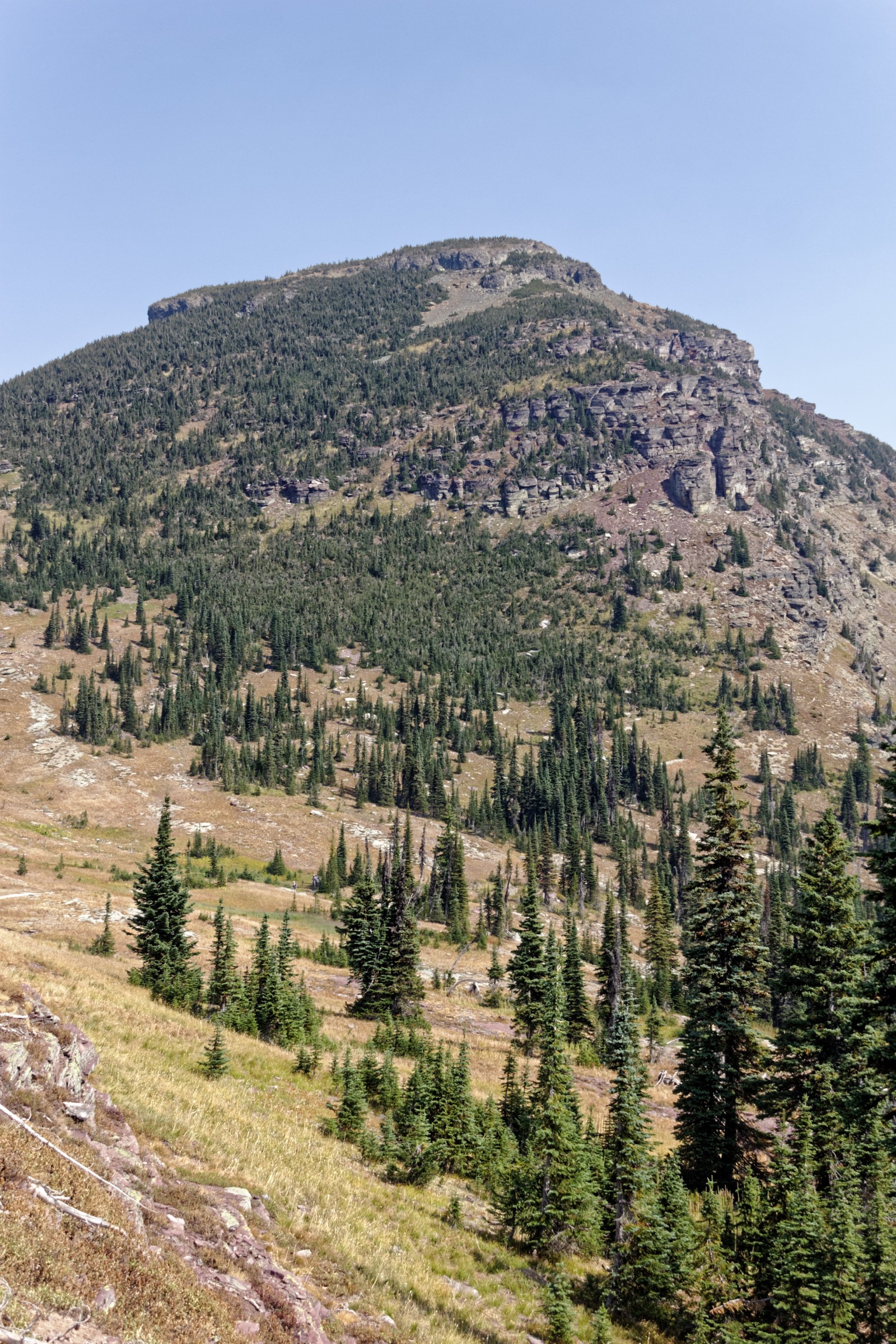 Highline Trail le long de la Garden Wall, Glacier National Park