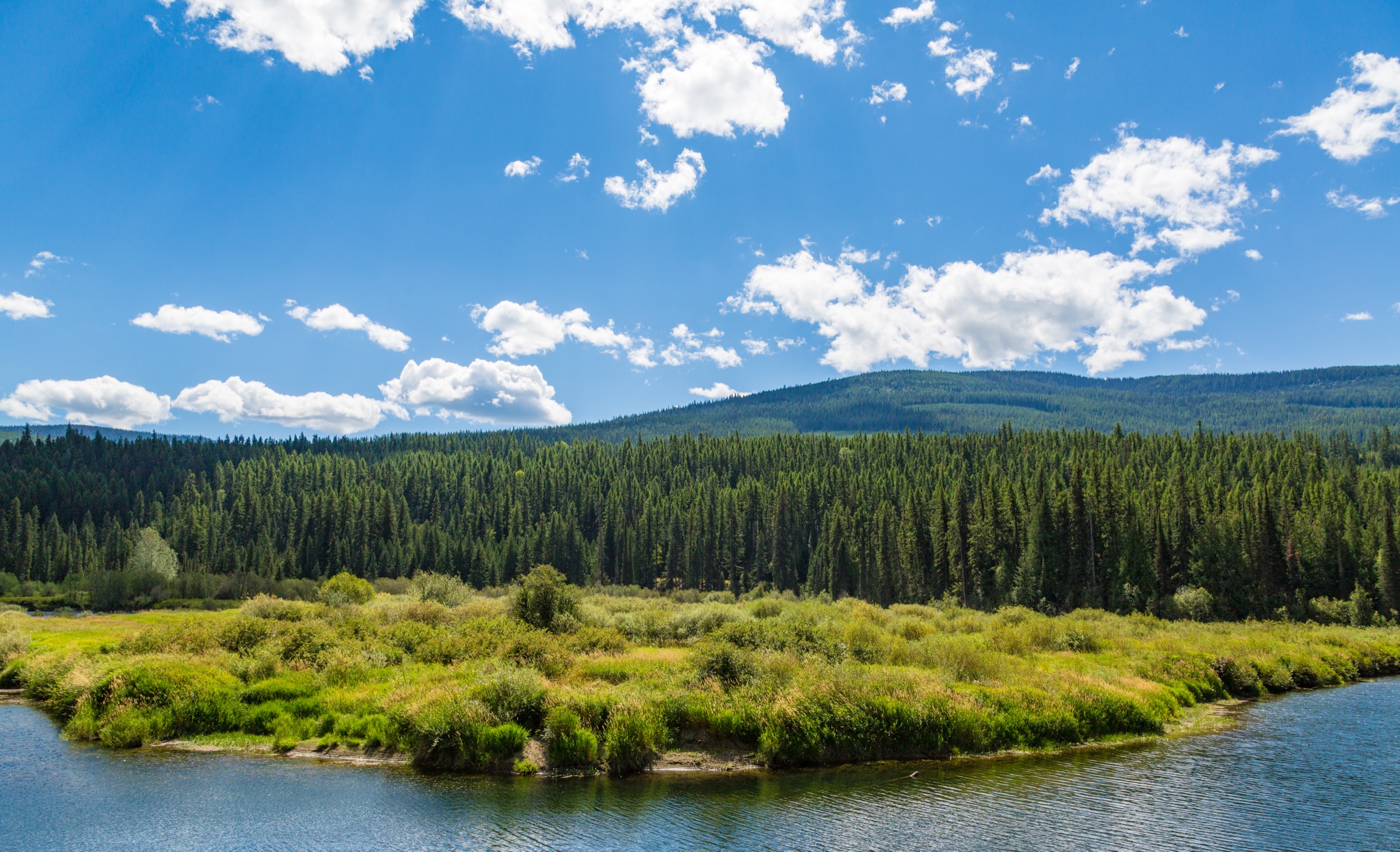 Yaak River flowing through the Kootenai National Forest in north-west Montana